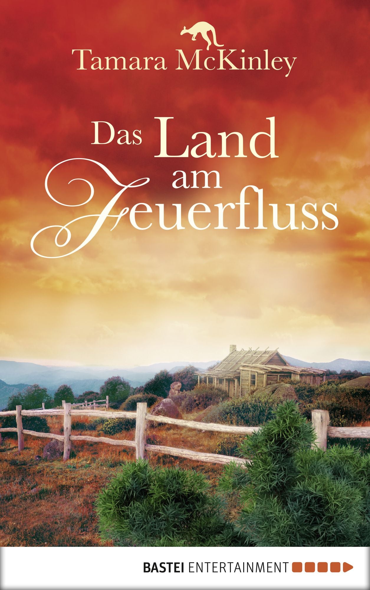 Das Land am Feuerfluss: Roman