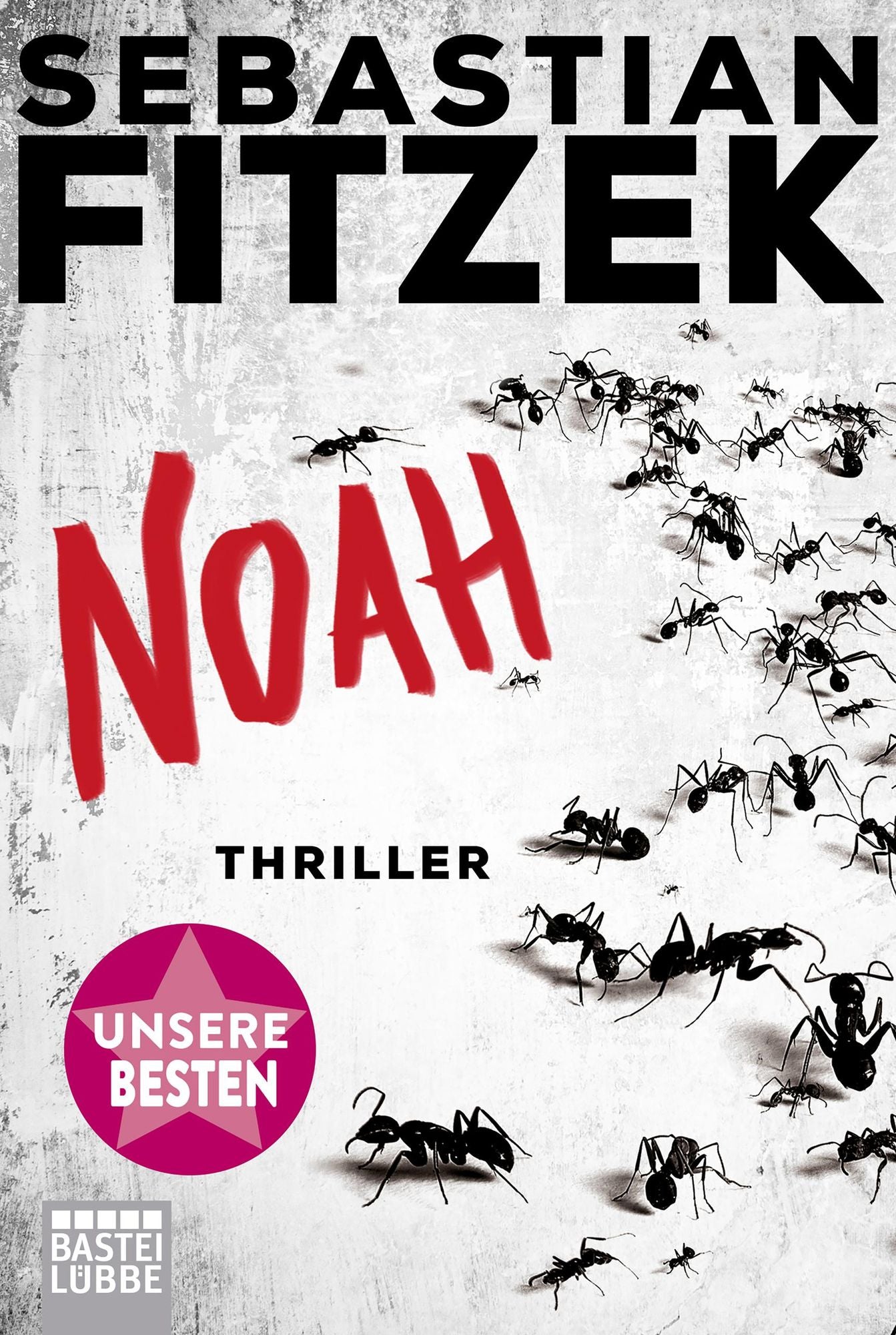 Noah: Thriller