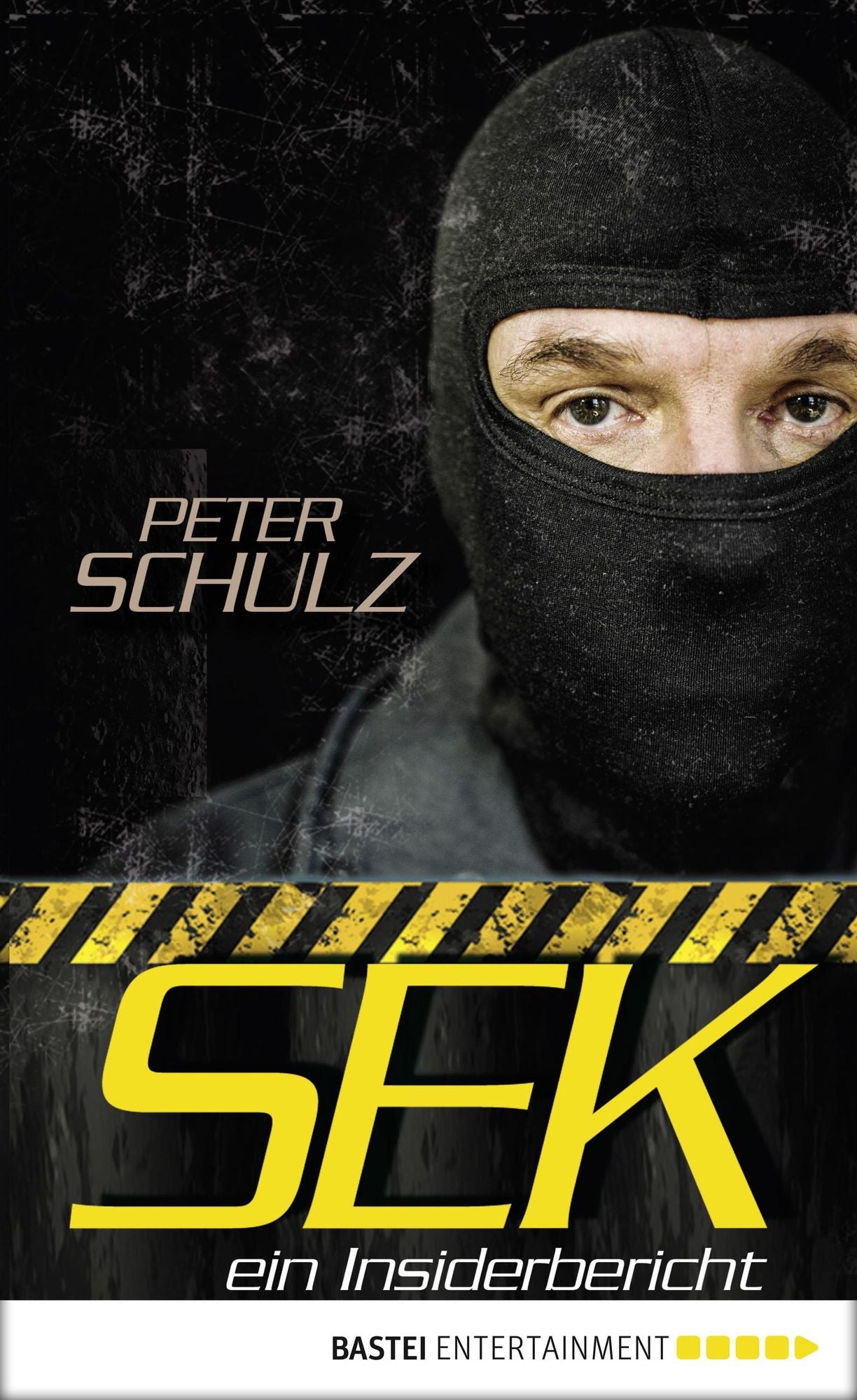 SEK - ein Insiderbericht: Ein Insiderbericht