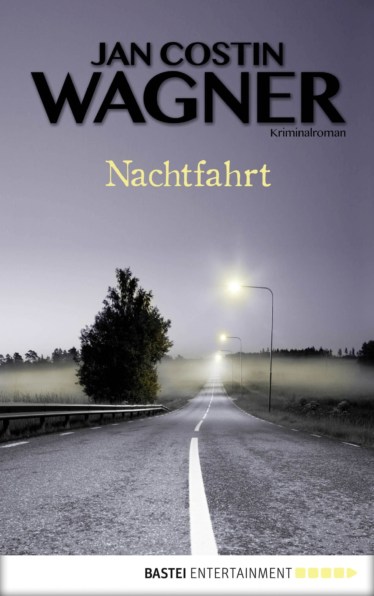 Nachtfahrt: Kriminalroman