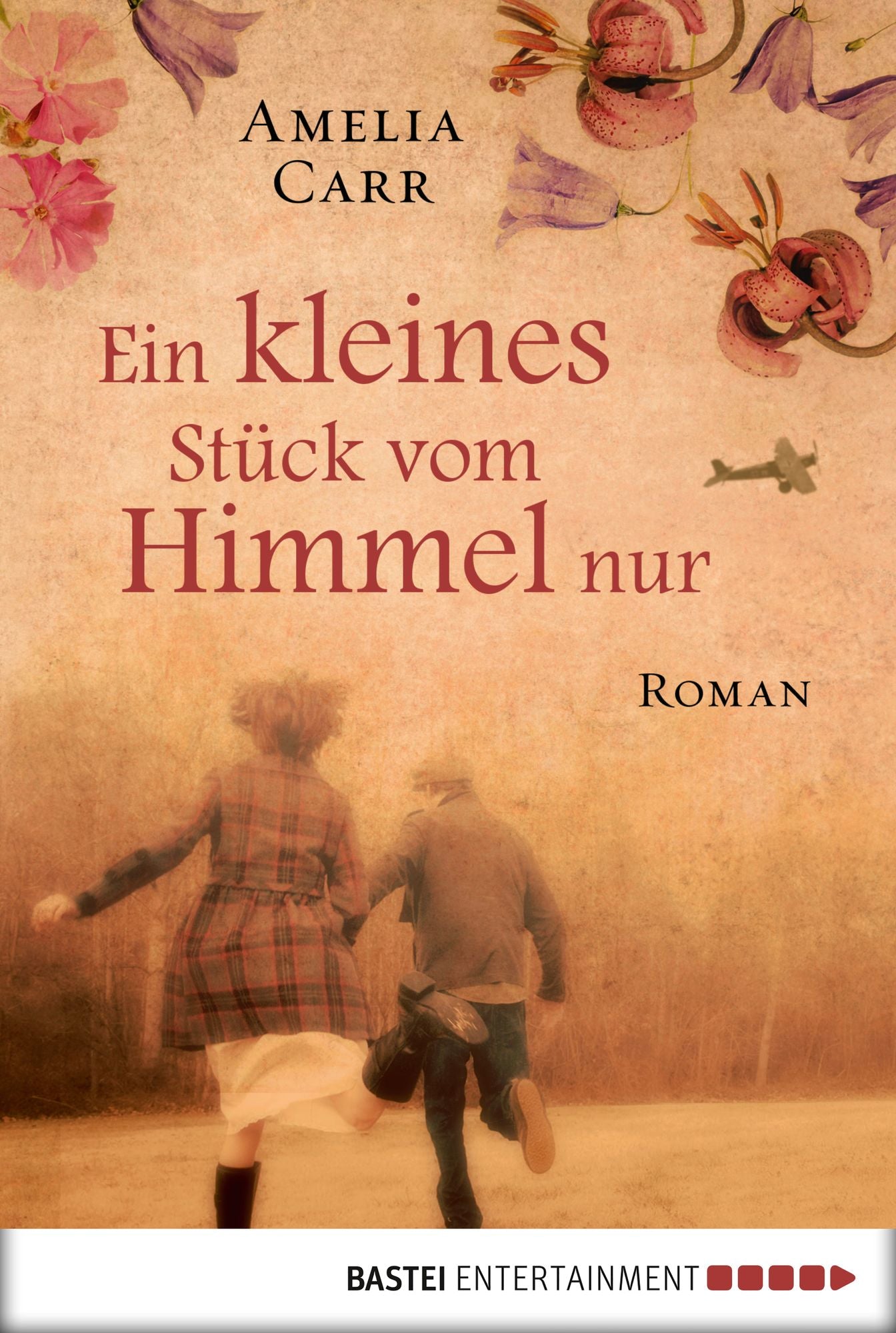 Ein kleines Stück vom Himmel nur: Roman