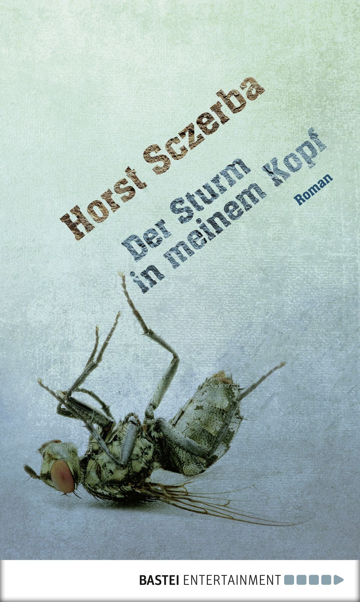 Der Sturm in meinem Kopf: Roman