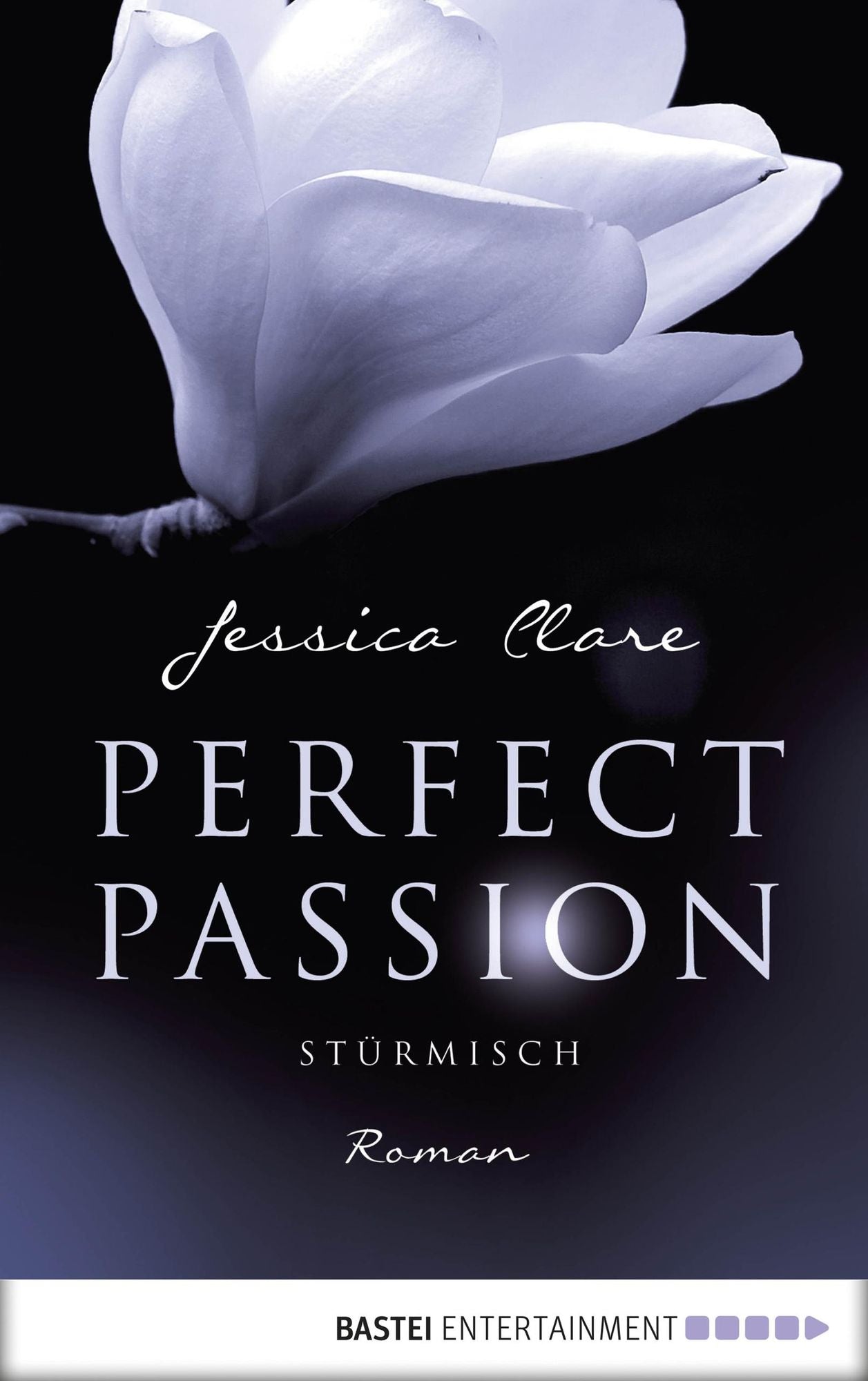 Perfect Passion - Stürmisch: Roman