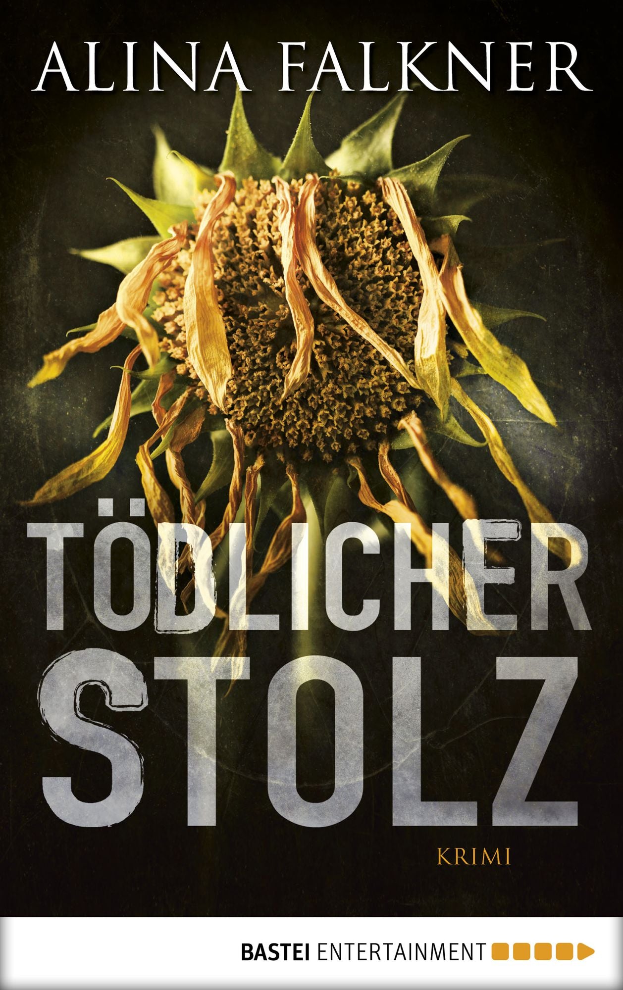 Tödlicher Stolz: Roman