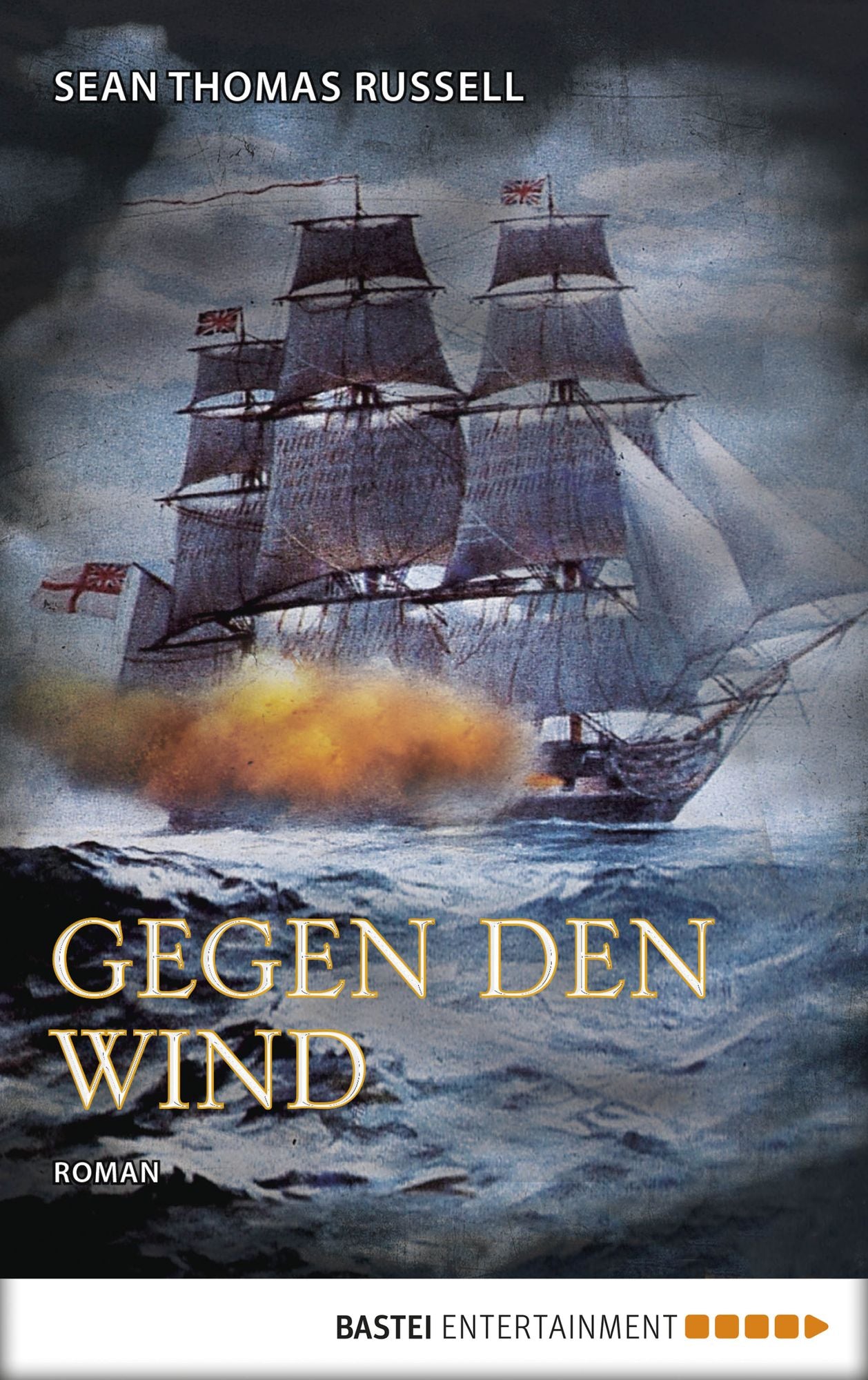 Gegen den Wind: Roman