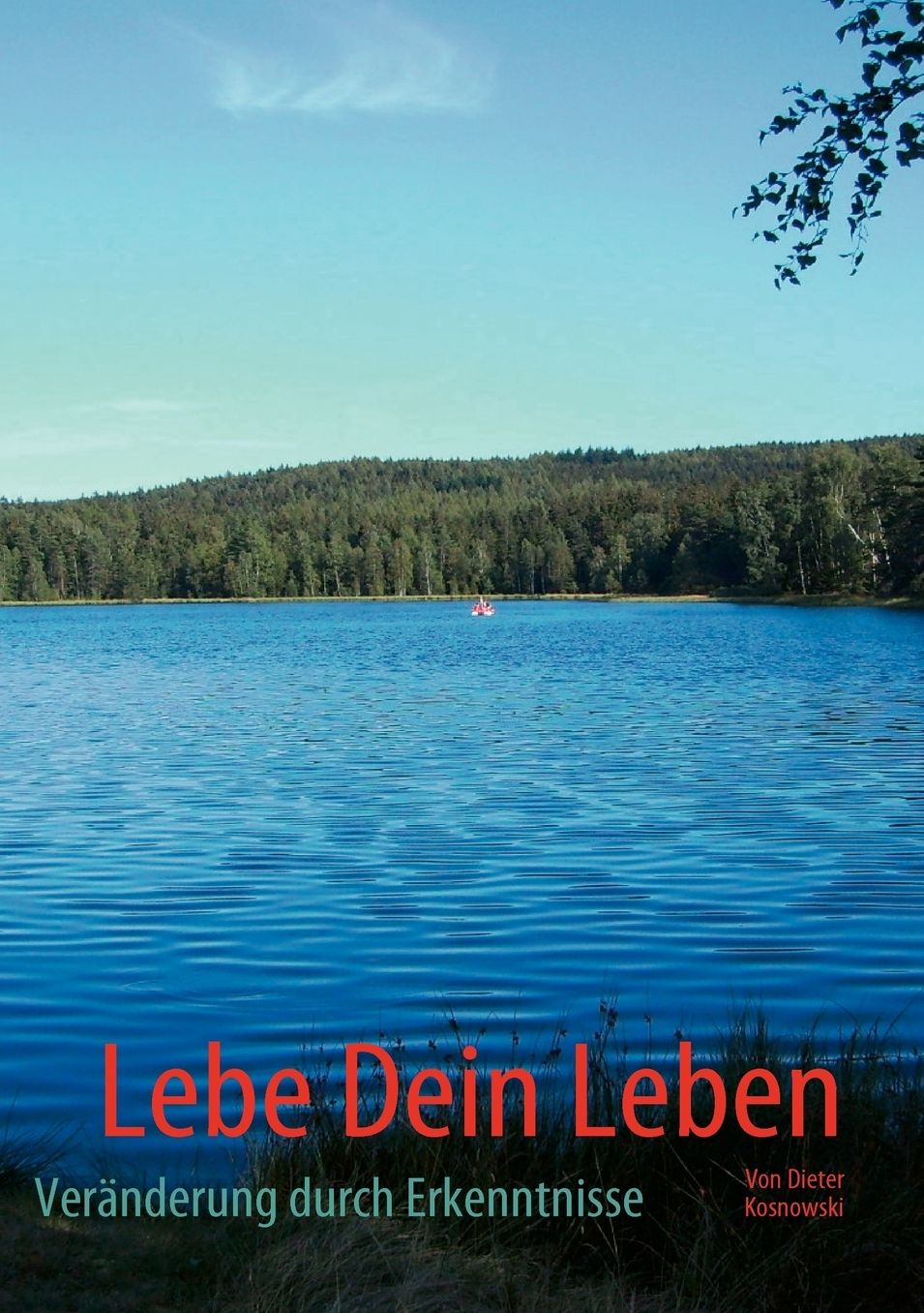Lebe Dein Leben