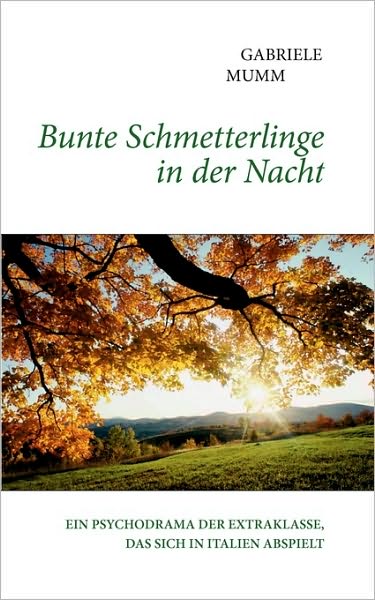 Bunte Schmetterlinge In Der Nacht