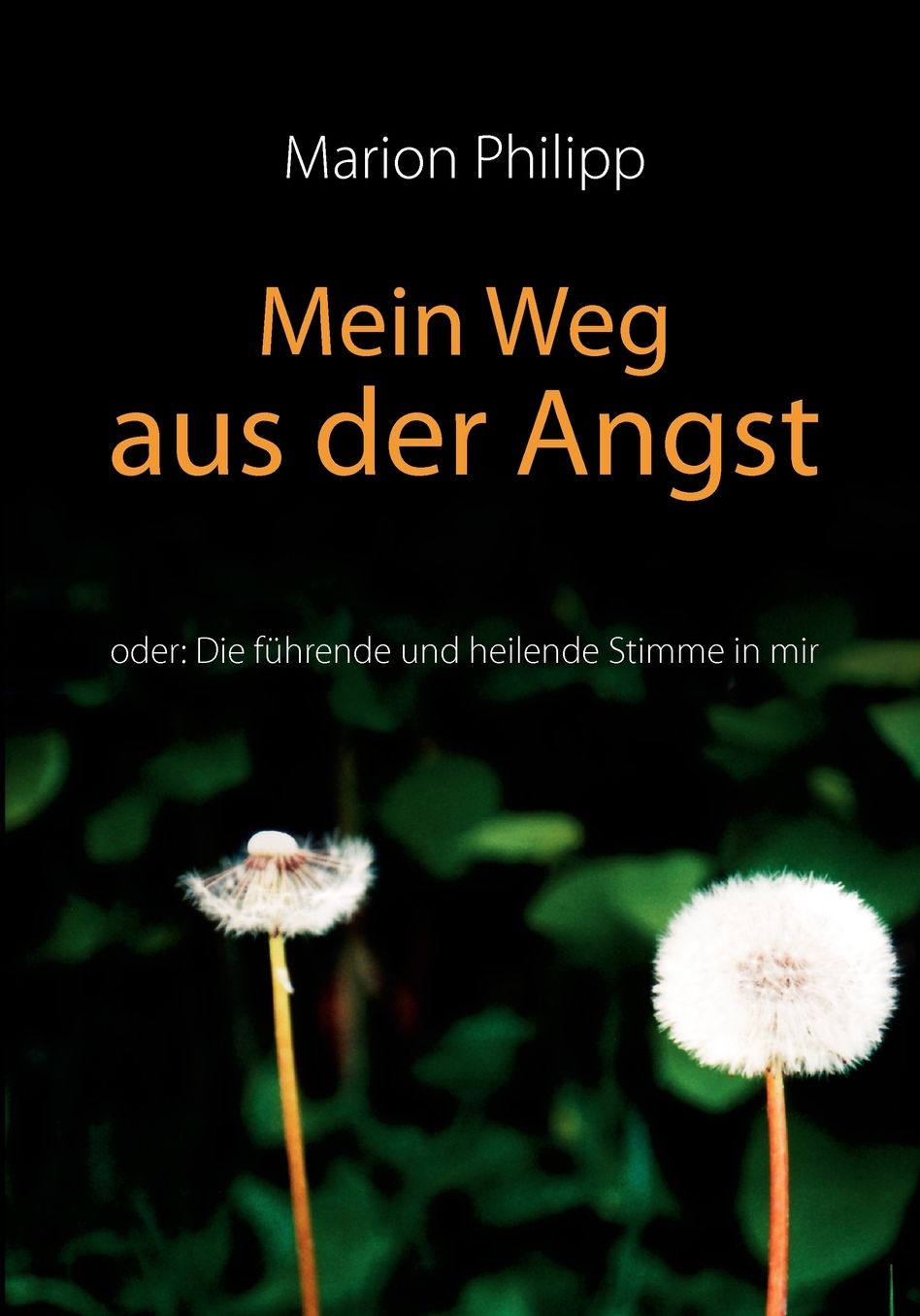 Mein Weg Aus Der Angst