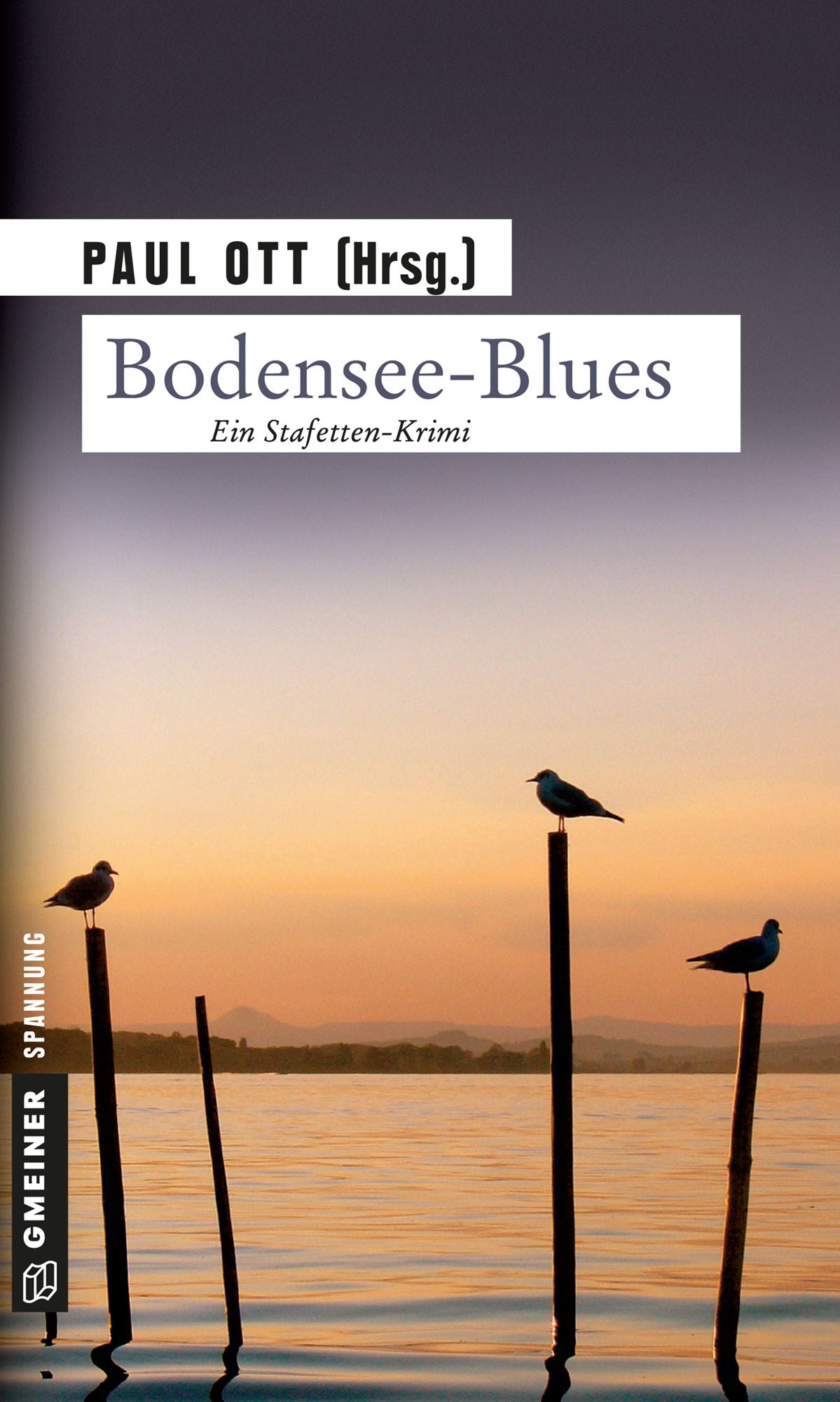 Bodensee-Blues: Stafetten-Krimi