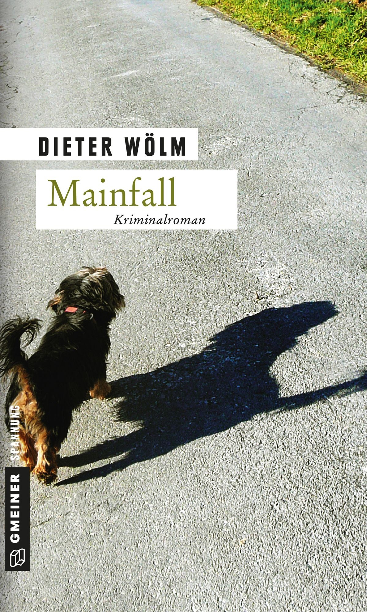 Mainfall: Kriminalroman