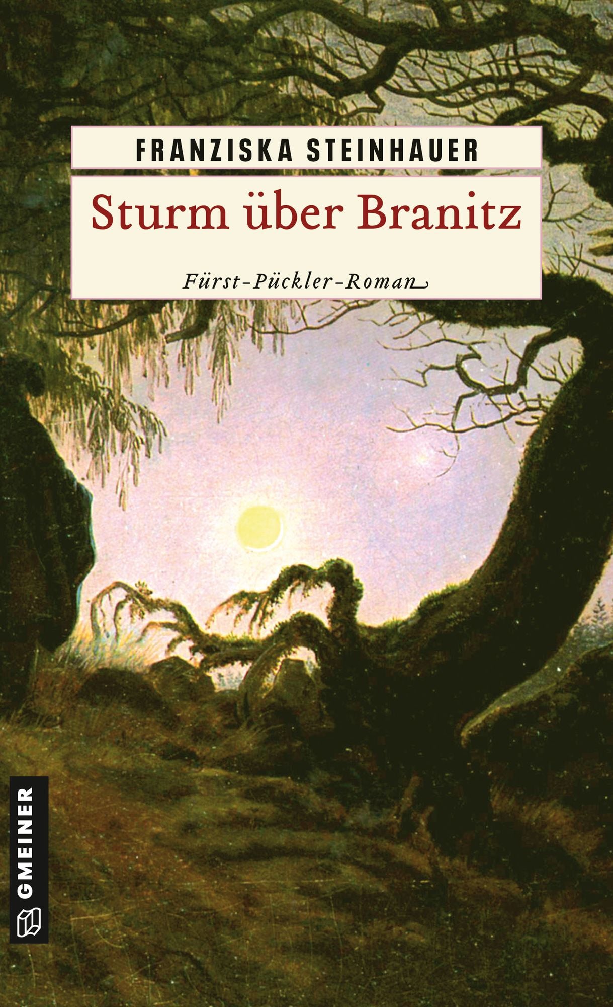 Sturm über Branitz: Historischer Kriminalroman