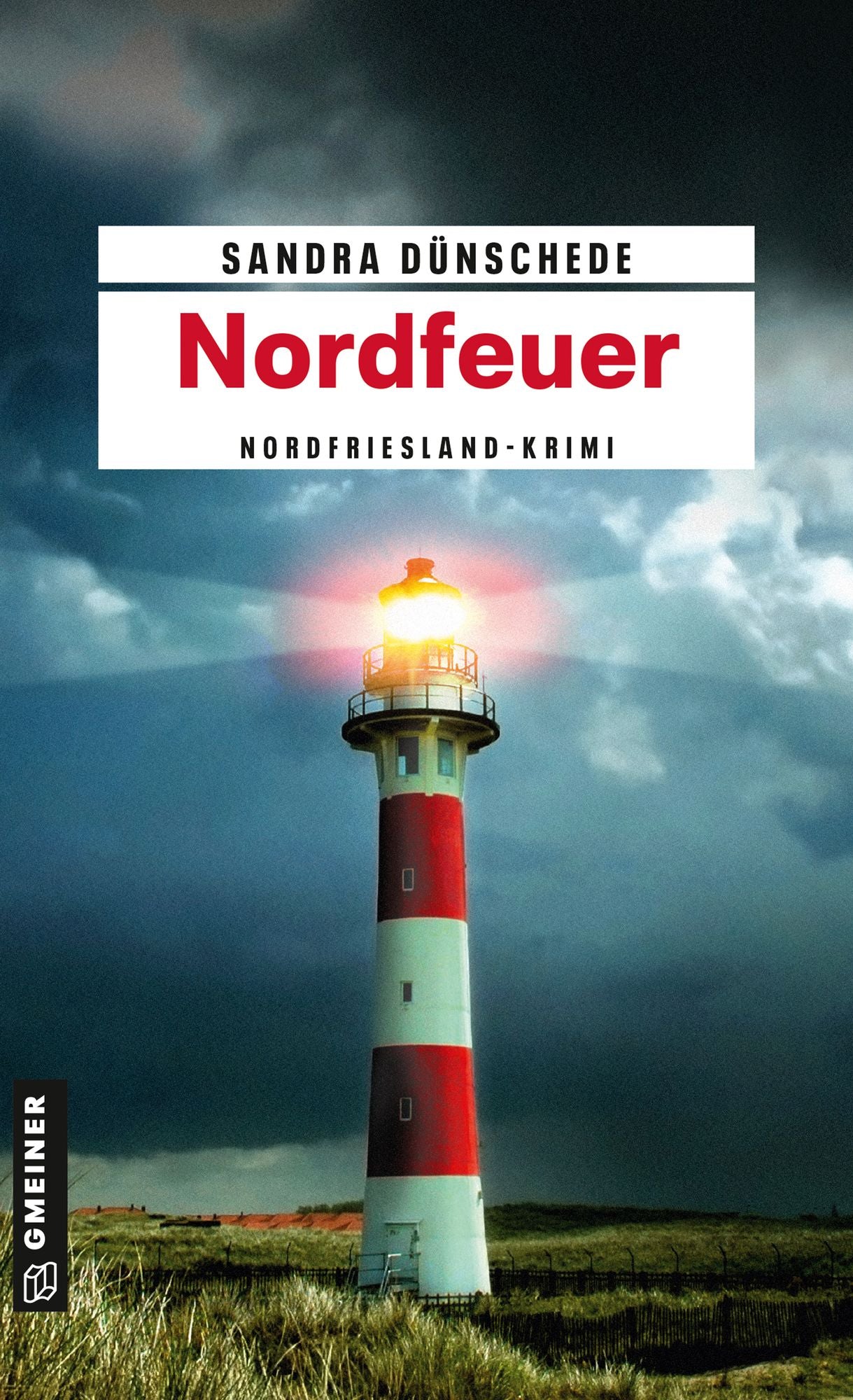 Nordfeuer: Kriminalroman