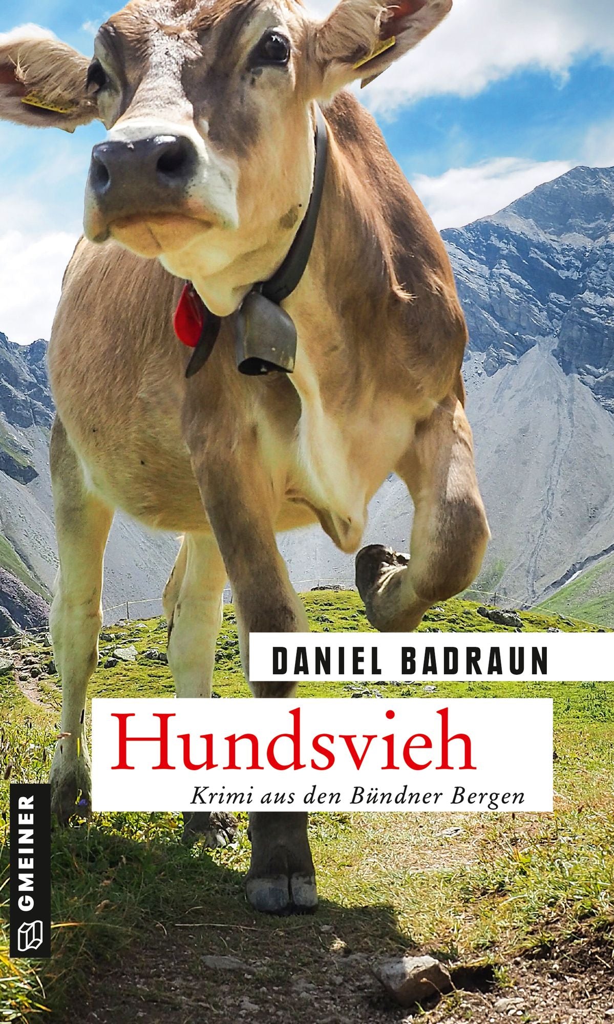 Hundsvieh: Kriminalroman