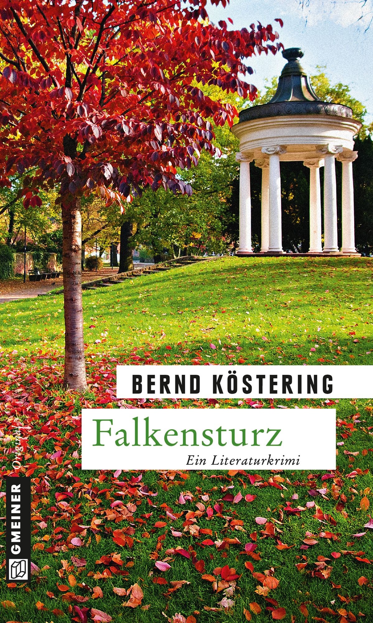 Falkensturz: Ein Offenbach-Krimi