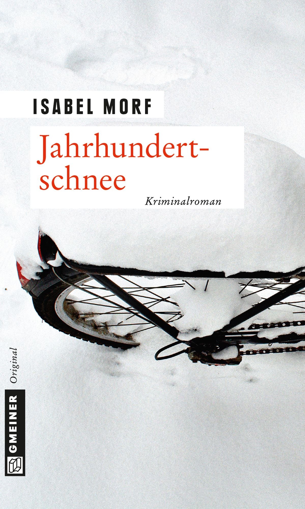 Jahrhundertschnee: Kriminalroman