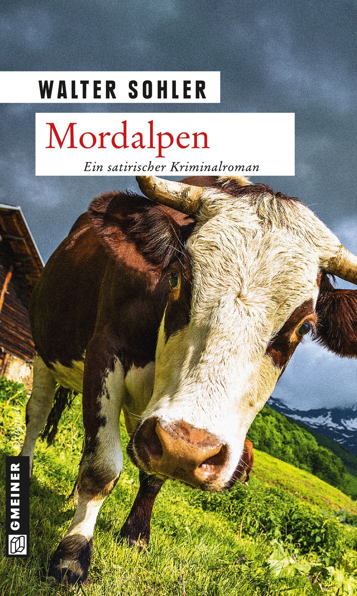 Mordalpen: Ein Alpen-Krimi