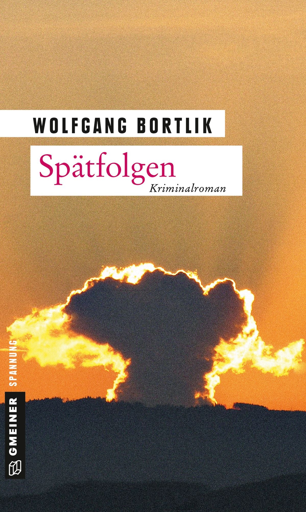 Spätfolgen: Kriminalroman