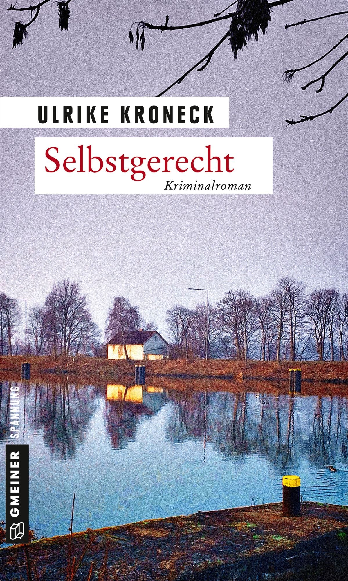 Selbstgerecht: Kriminalroman