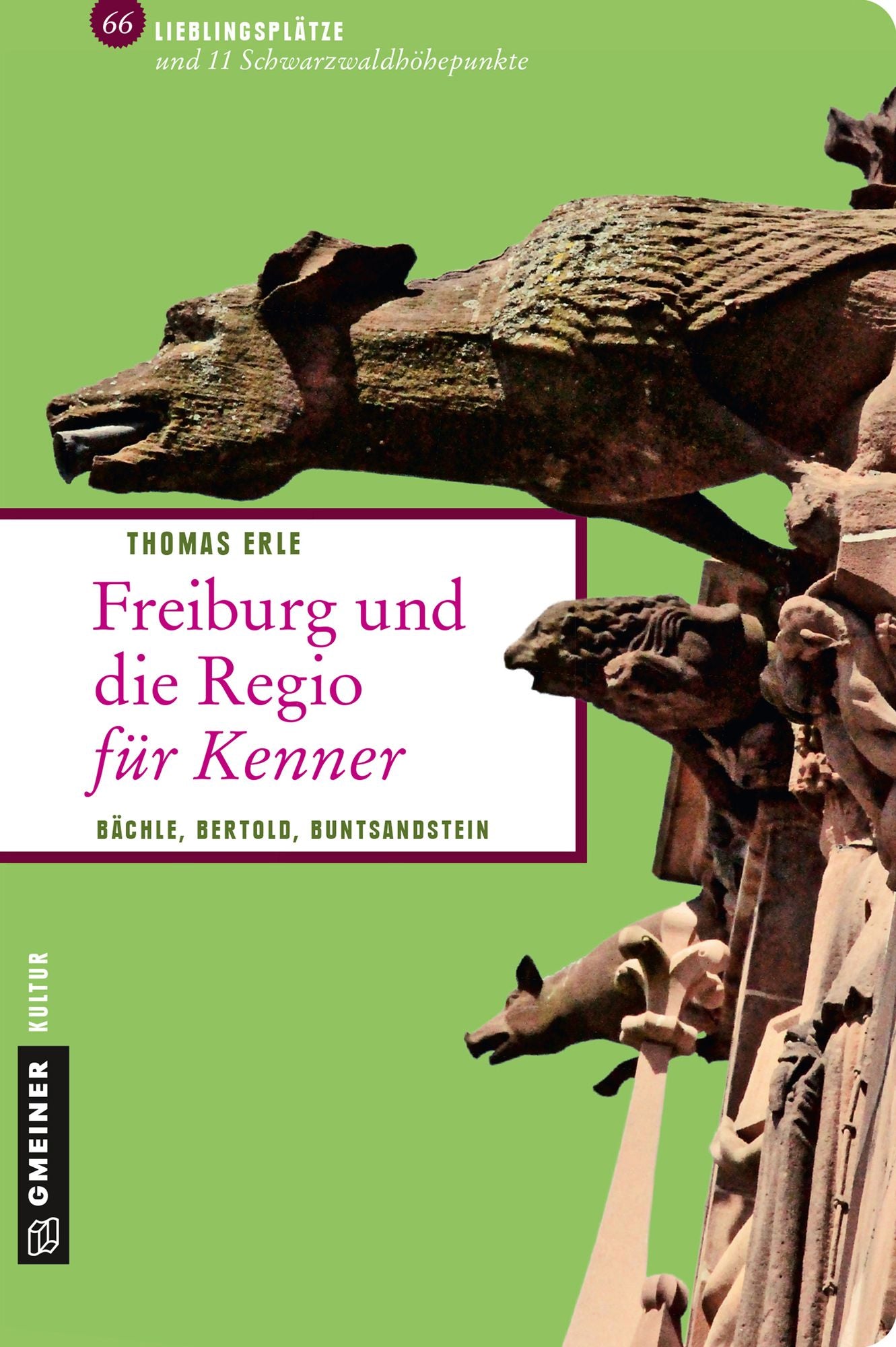 Freiburg und die Regio für Kenner: Bächle, Bertold, Buntsandstein