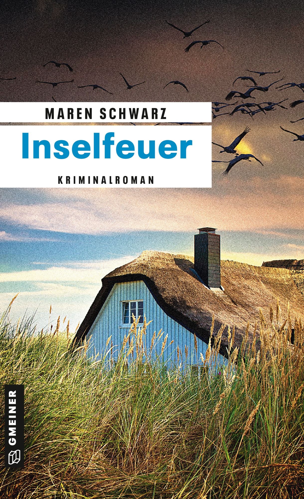 Inselfeuer: Kriminalroman