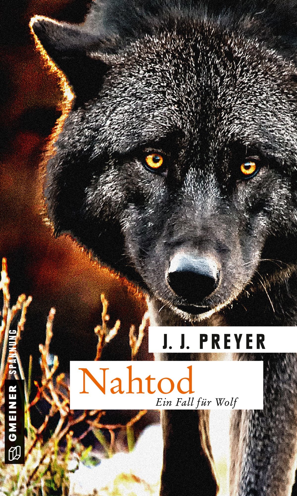 Nahtod: Psychologischer Kriminalroman