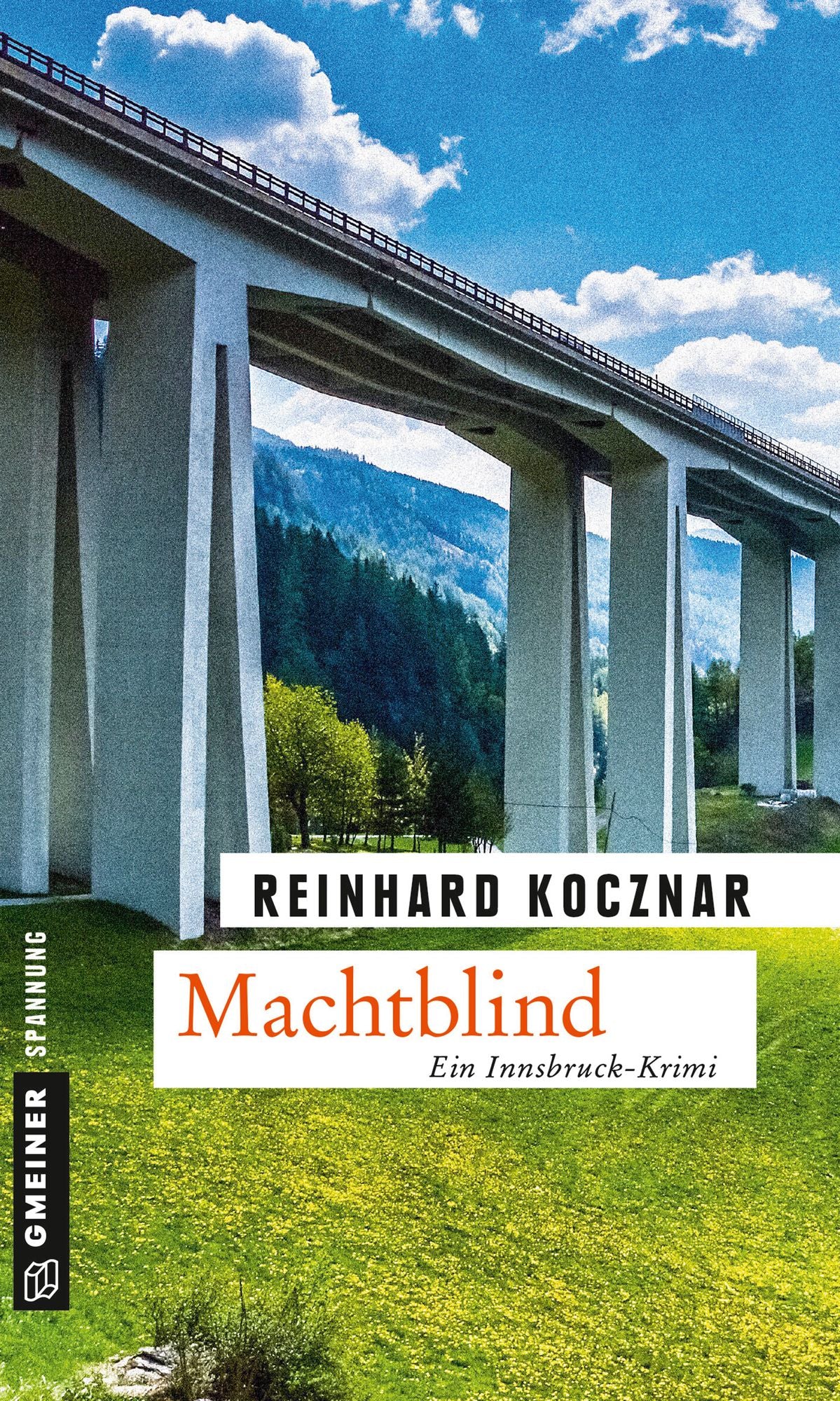 Machtblind: Kriminalroman