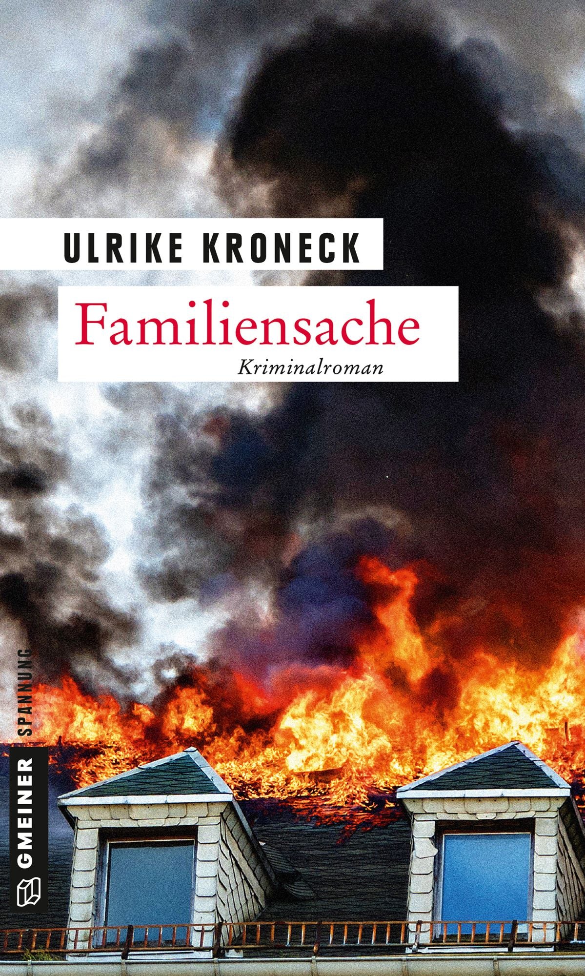 Familiensache: Kriminalroman