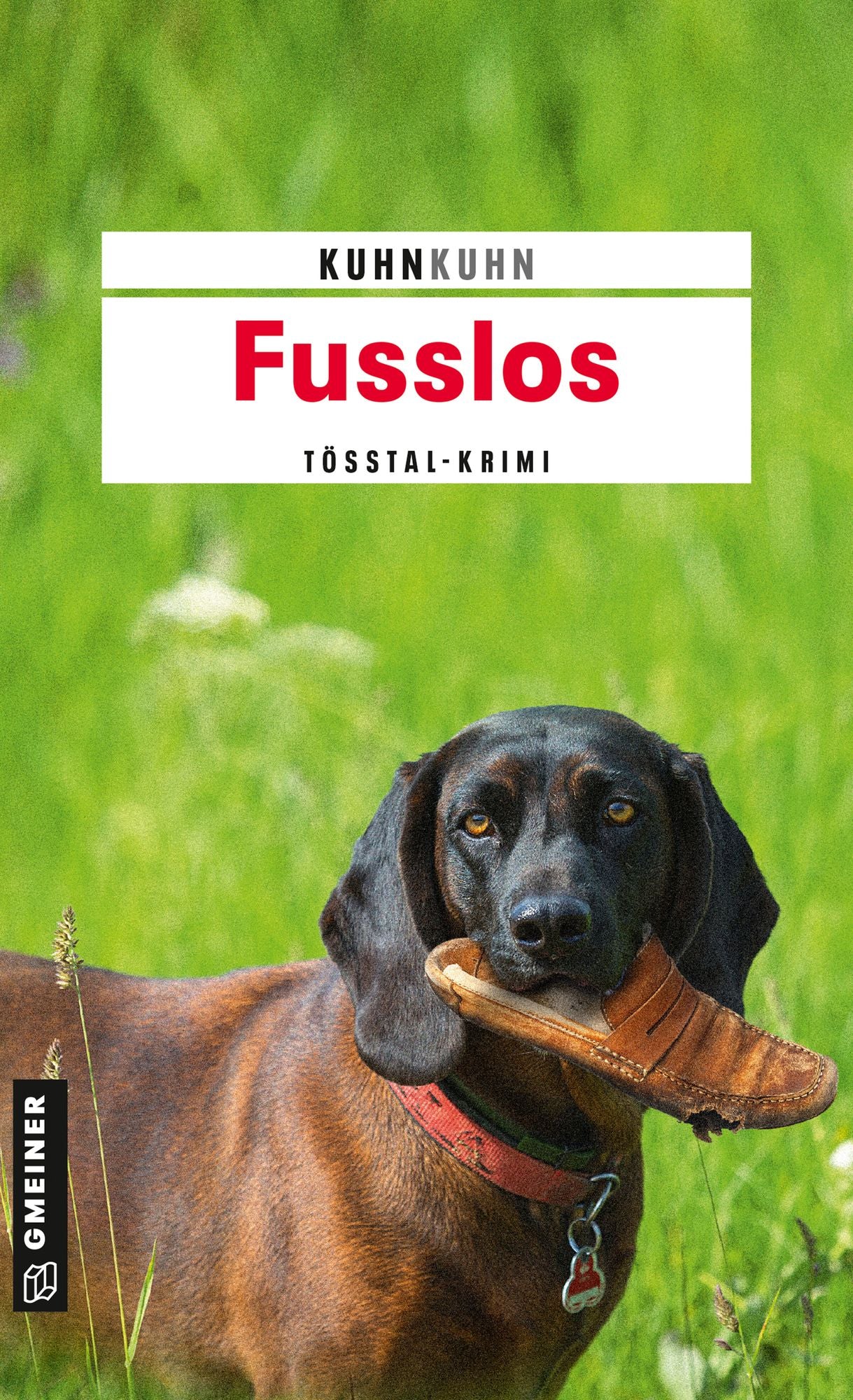 Fusslos: Noldi Oberholzers dritter Fall