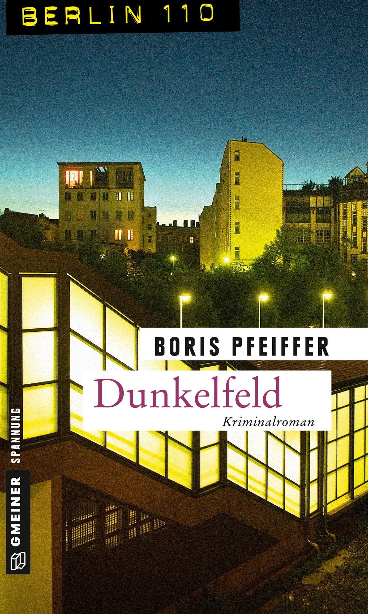 Dunkelfeld: Kriminalroman