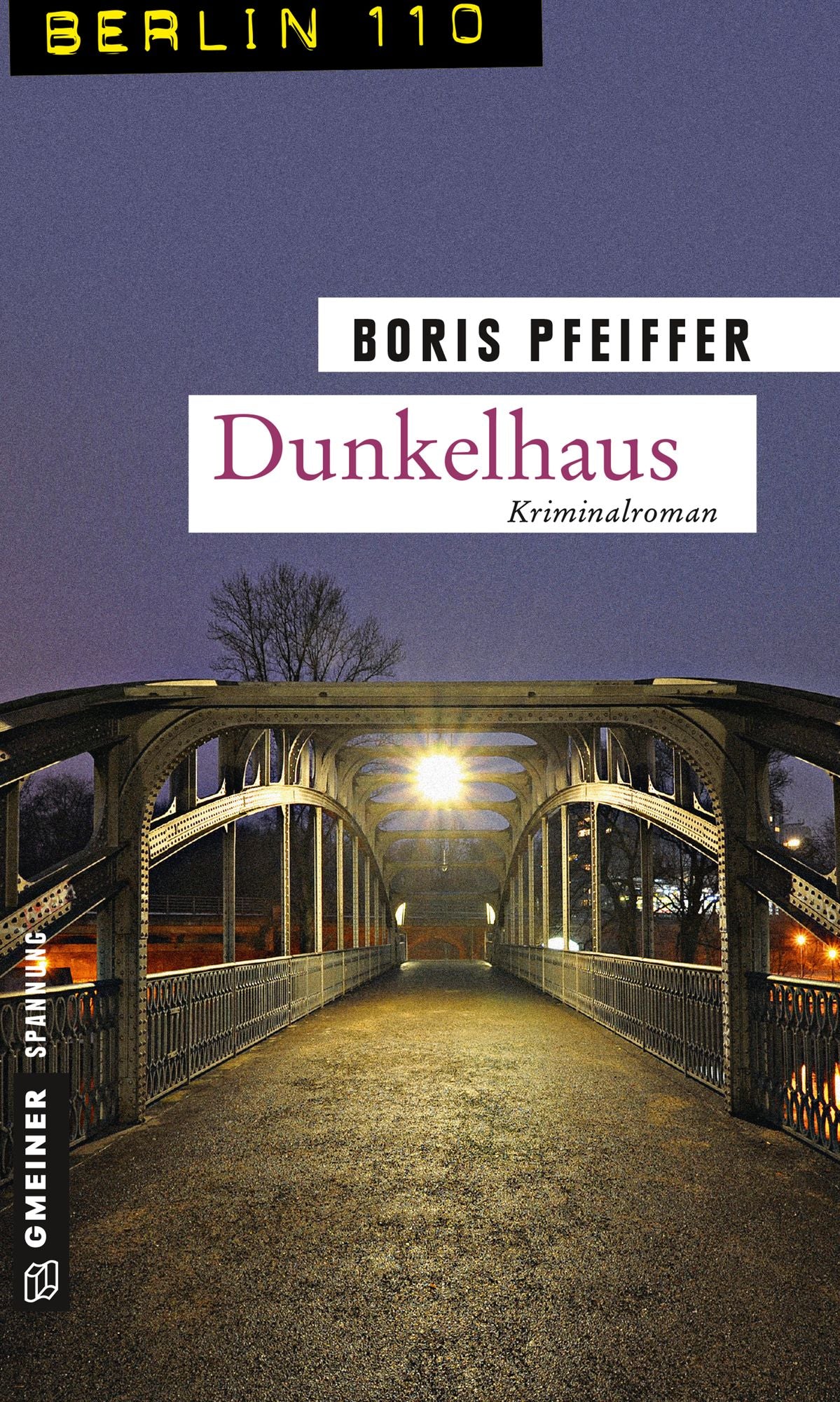 Dunkelhaus: Kriminalroman
