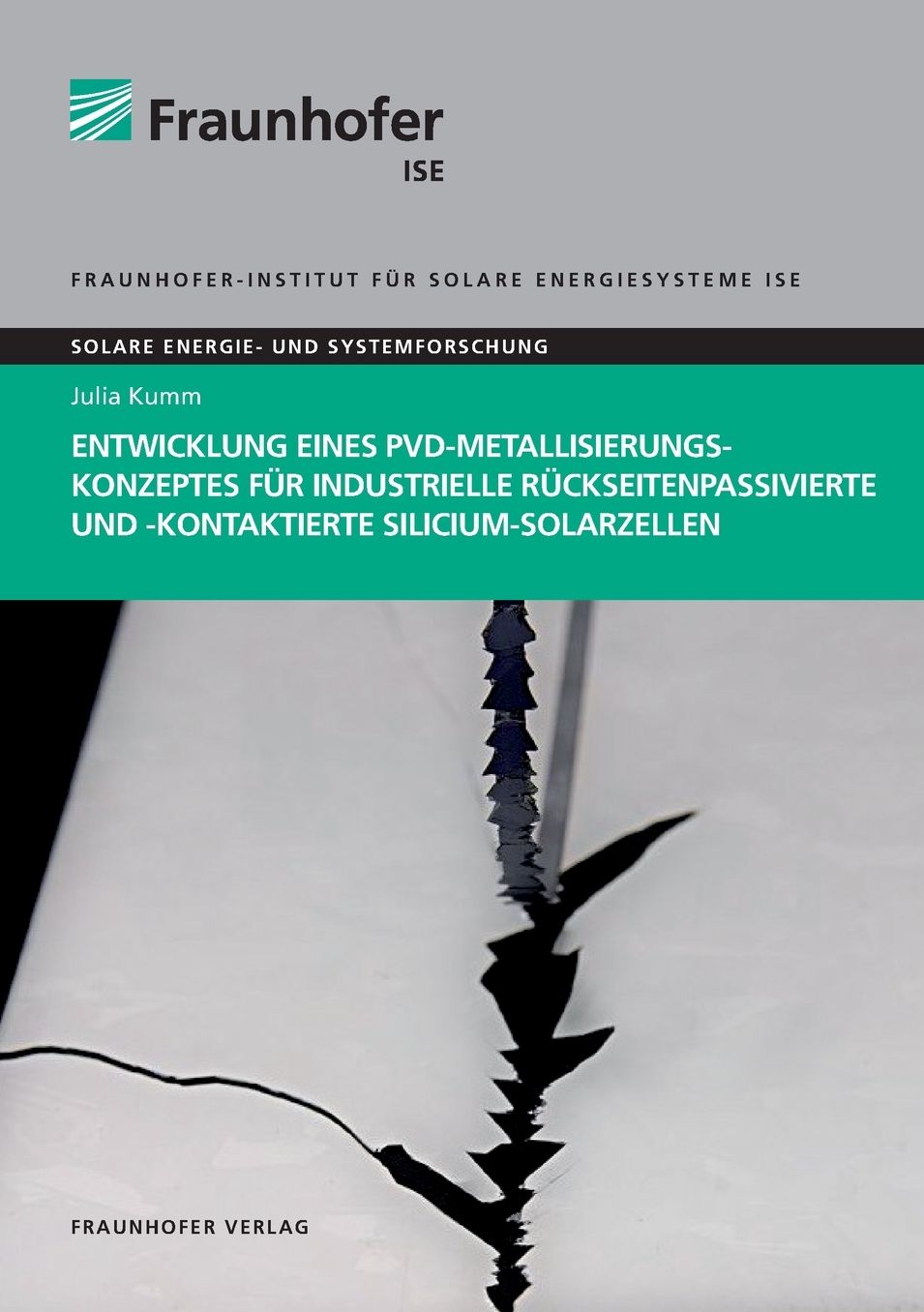 Entwicklung eines PVD-Metallisierungskonzeptes fuuml;r industrielle ruuml;ckseitenpassivierte und -kontaktierte Silicium-Solarzellen.