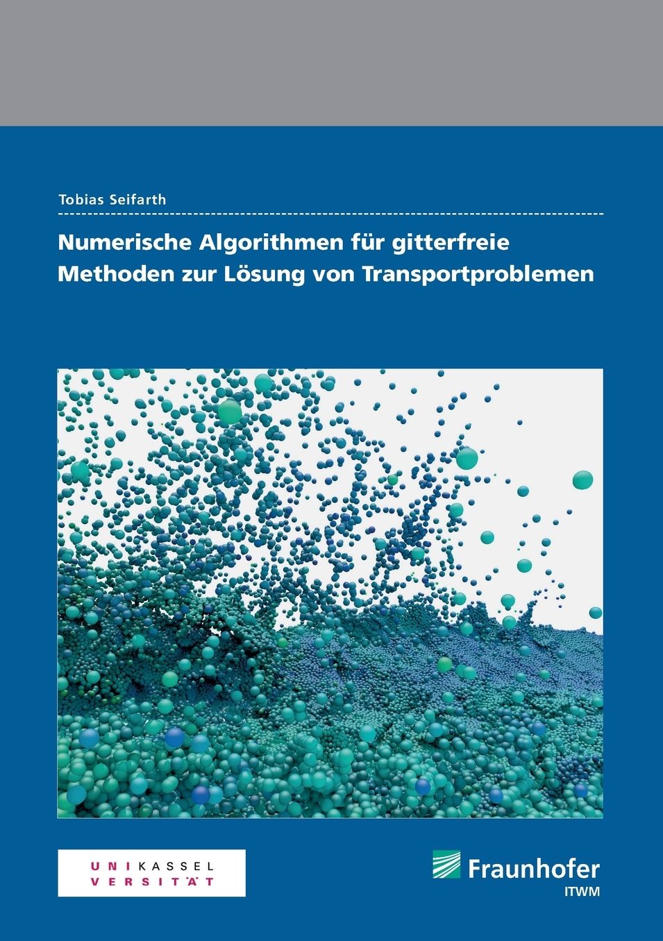 Numerische Algorithmen Fur Gitterfreie Methoden Zur Losung Von Transportproblemen.