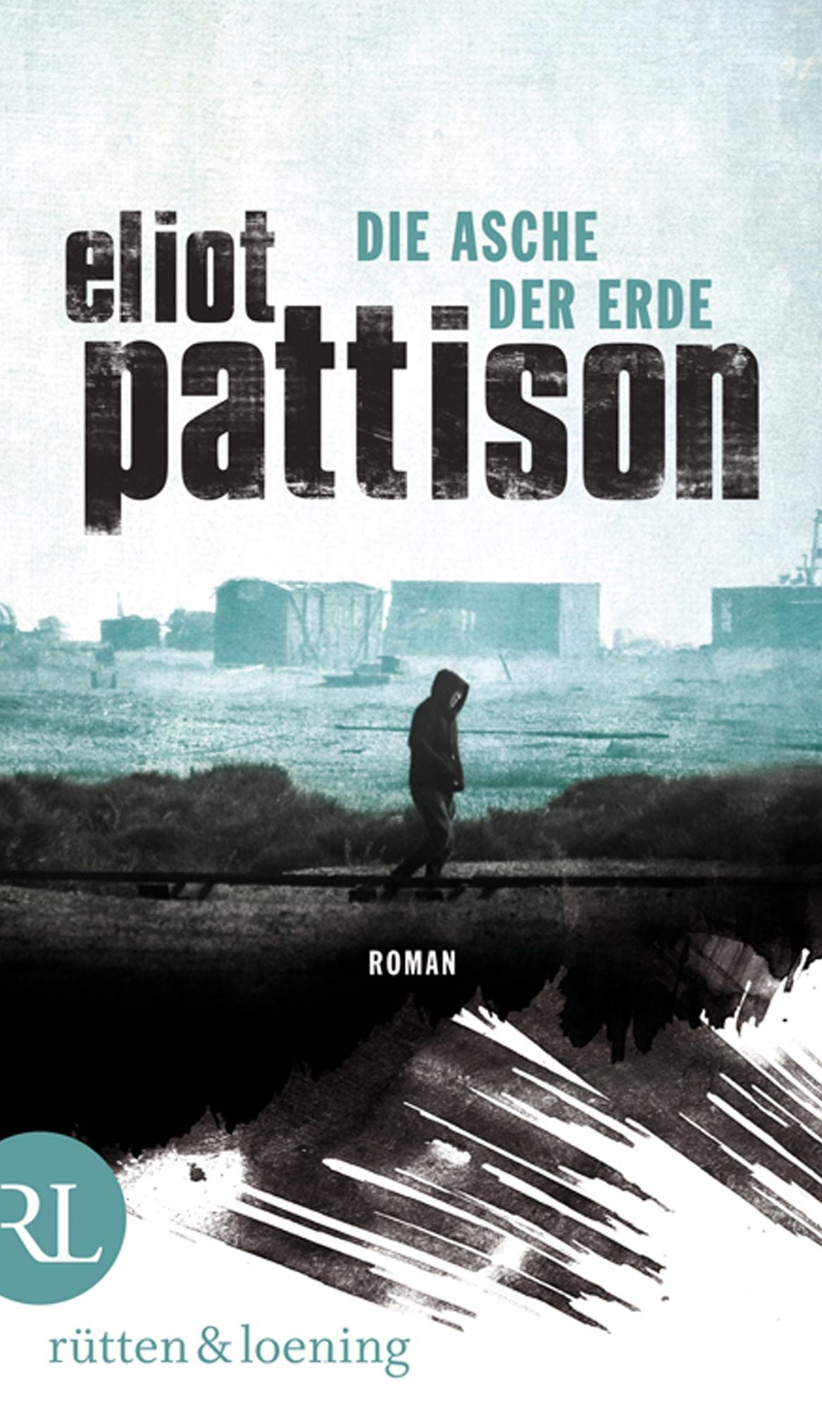 Die Asche der Erde: Roman
