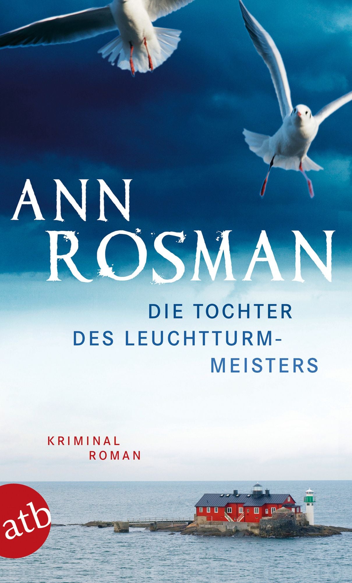 Die Tochter des Leuchtturmmeisters: Kriminalroman