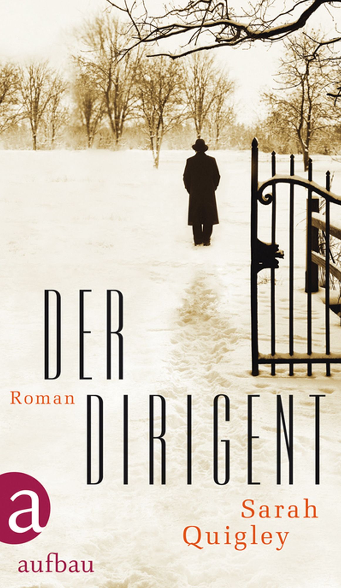 Der Dirigent: Roman