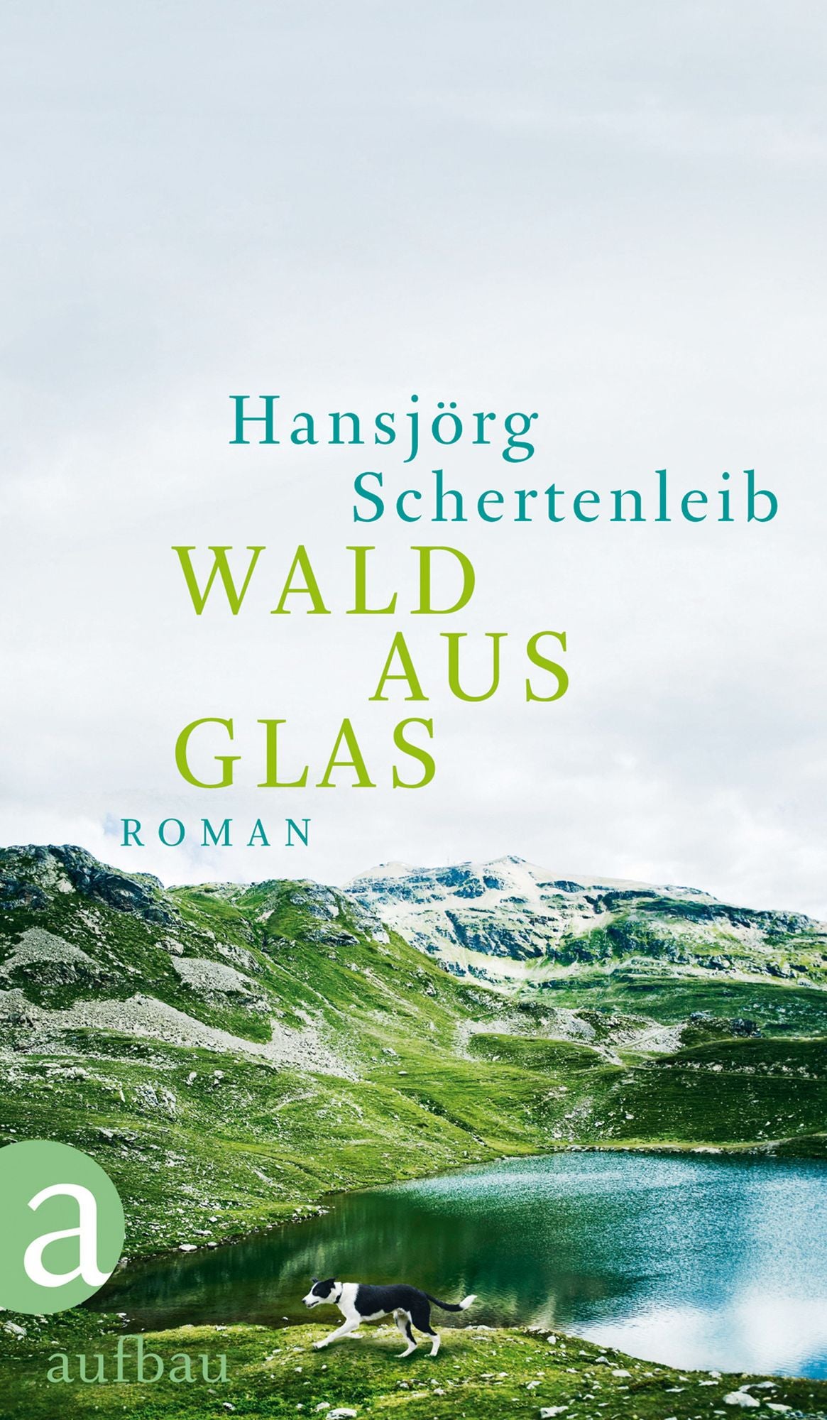 Wald aus Glas: Roman