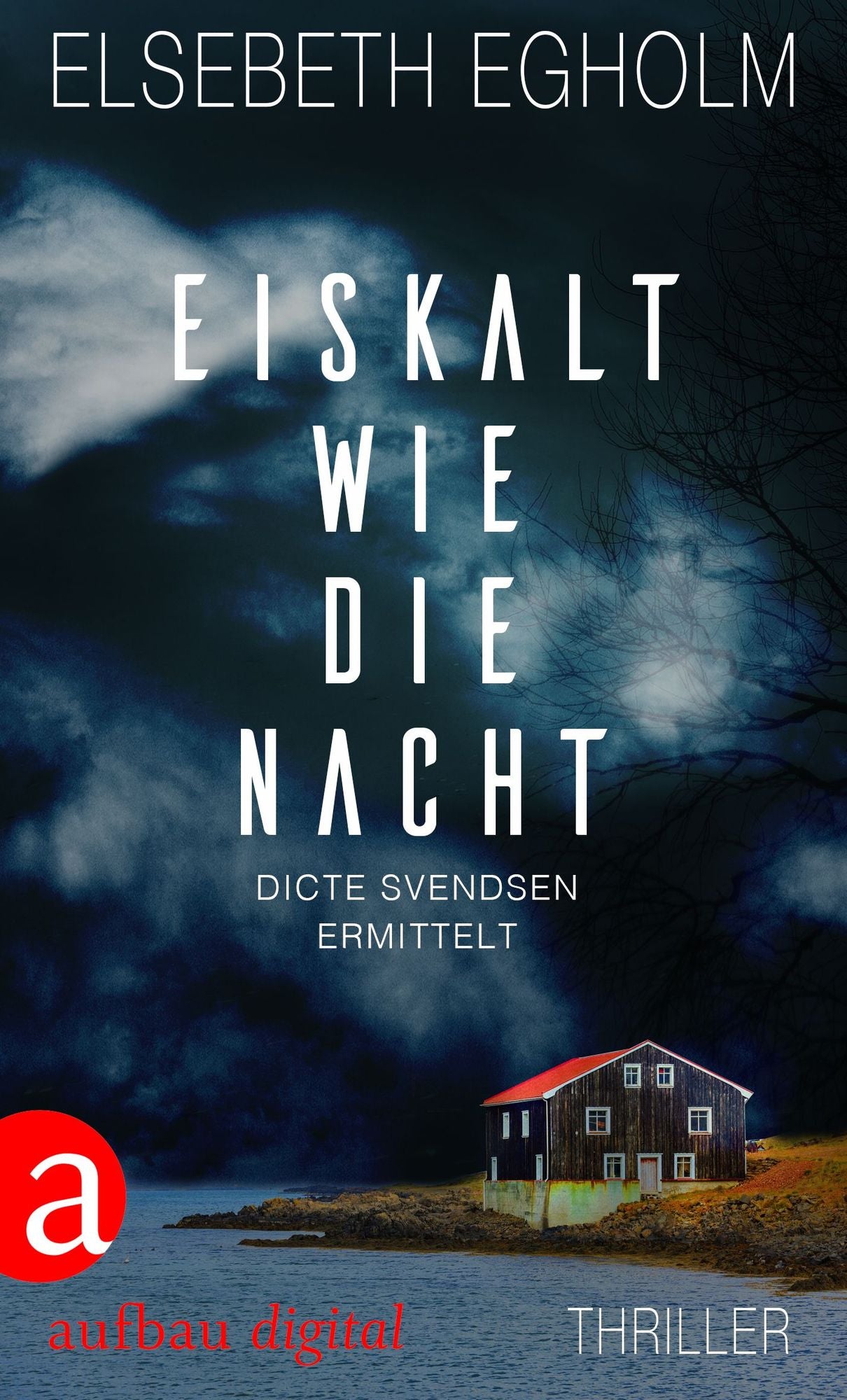 Eiskalt wie die Nacht: Dicte Svendsen ermittelt. Kriminalroman