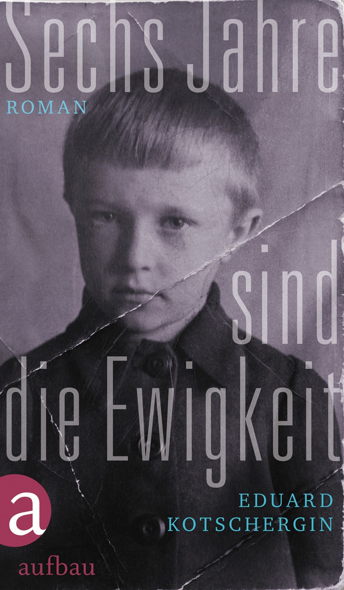 Sechs Jahre sind die Ewigkeit: Roman