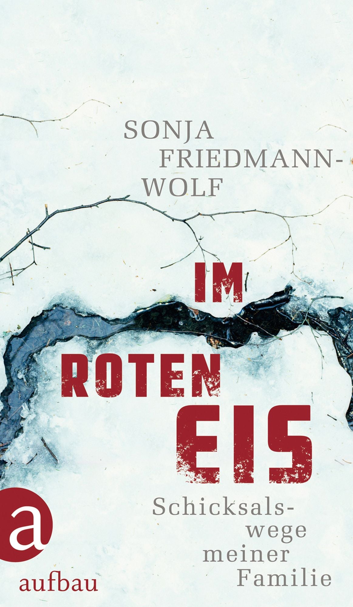 Im roten Eis: Schicksalswege meiner Familie 1933-1958