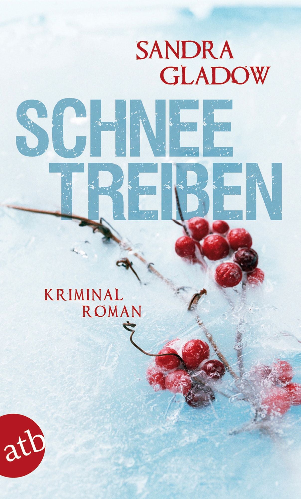 Schneetreiben: Kriminalroman