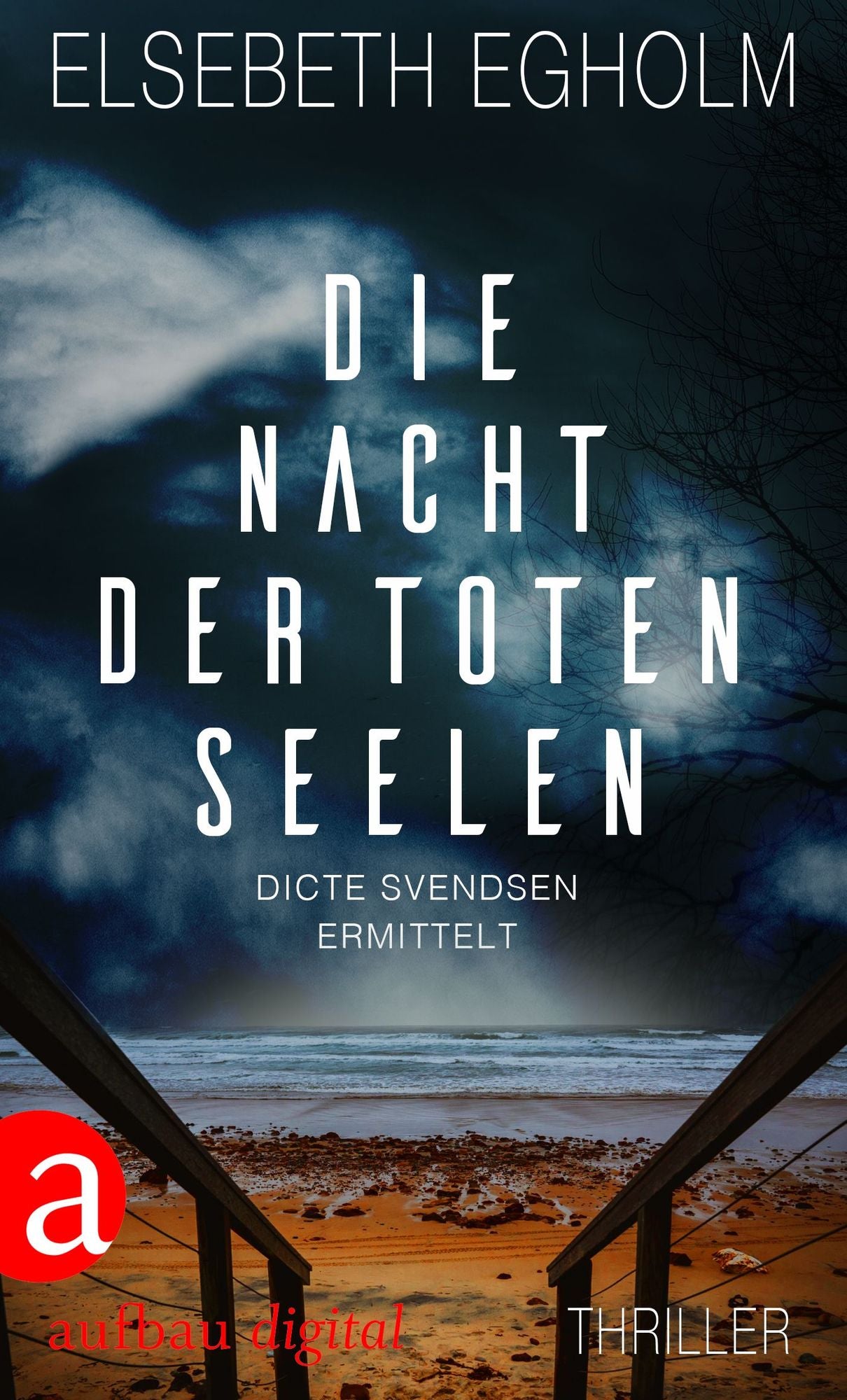 Die Nacht der toten Seelen: Dicte Svendsen ermittelt. Kriminalroman