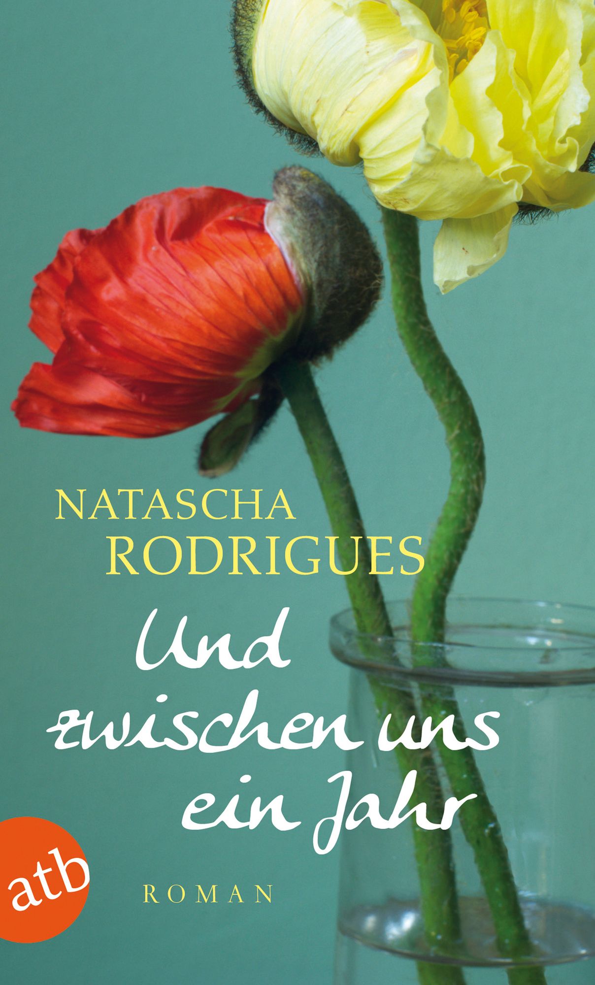 Und zwischen uns ein Jahr: Roman