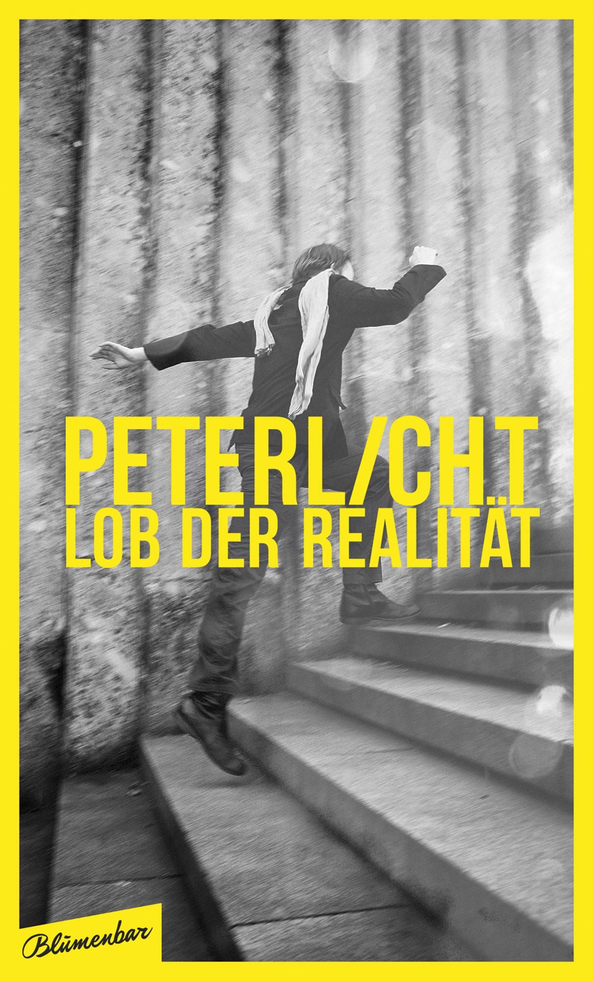 Lob der Realität: Buch