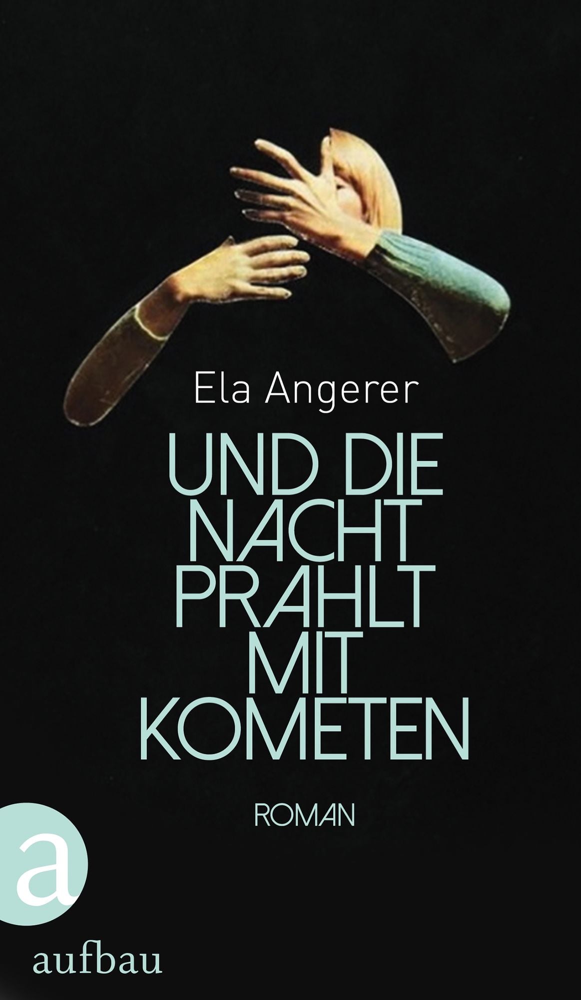 Und die Nacht prahlt mit Kometen: Roman