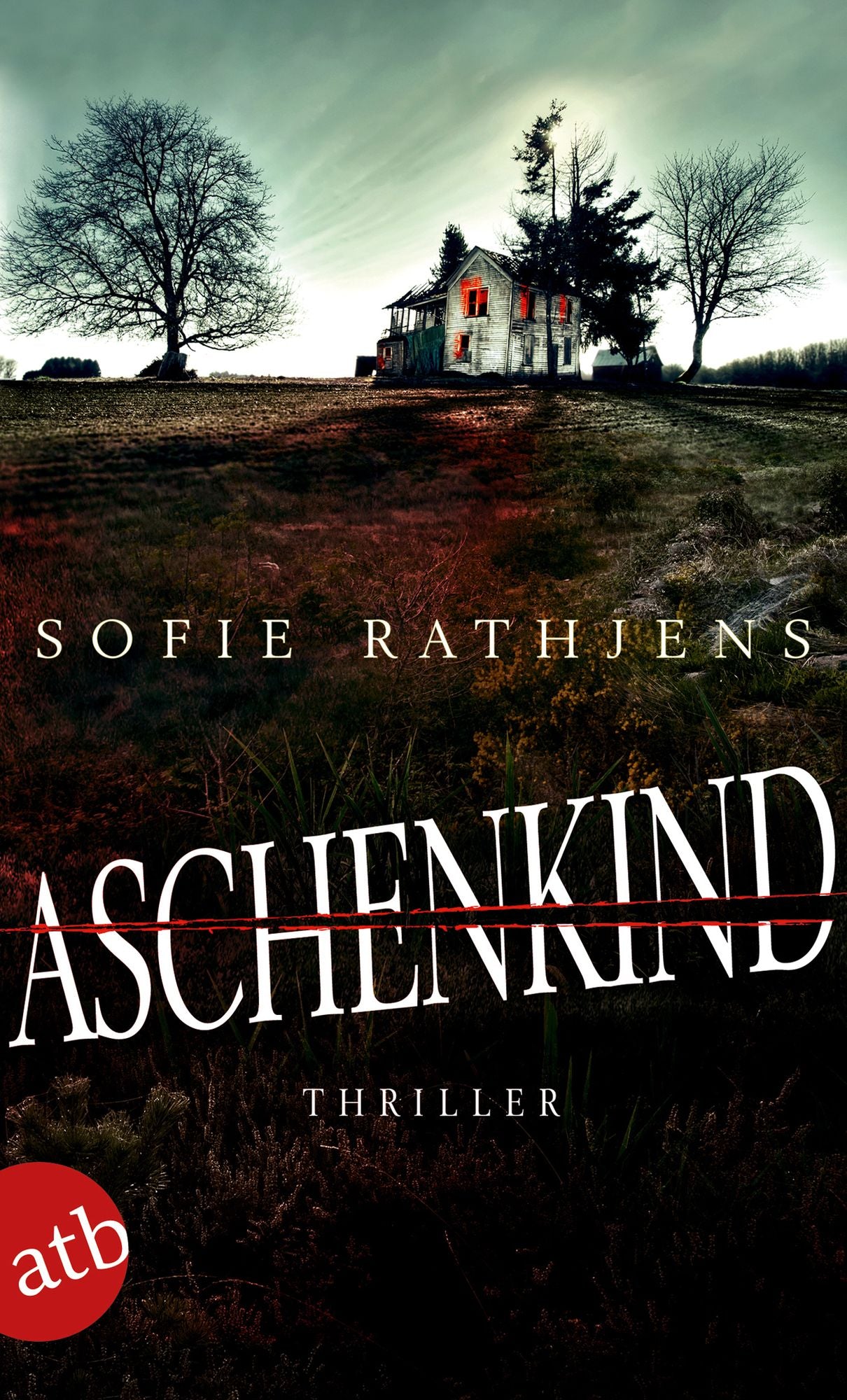 Aschenkind: Thriller