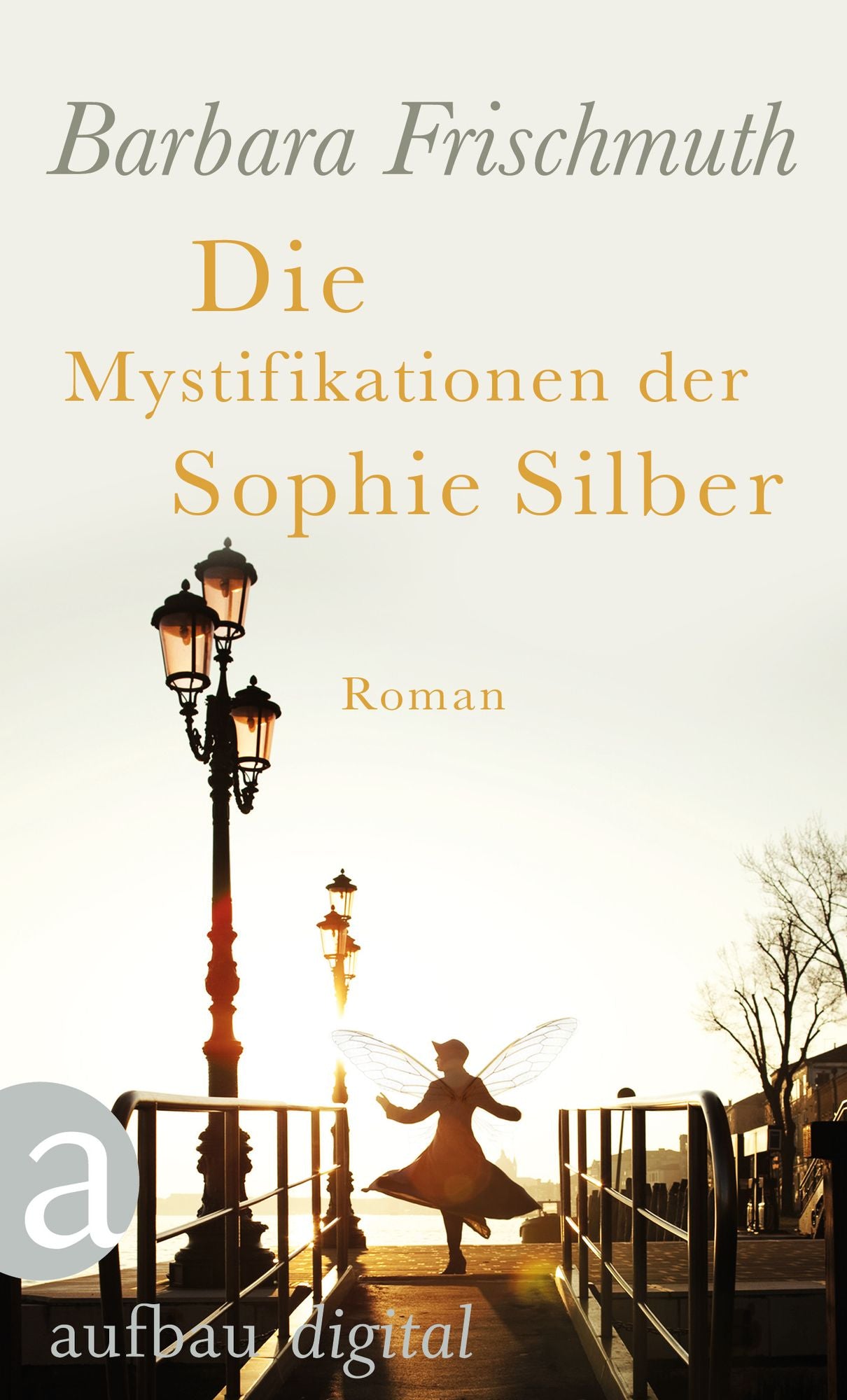 Die Mystifikationen der Sophie Silber: Roman