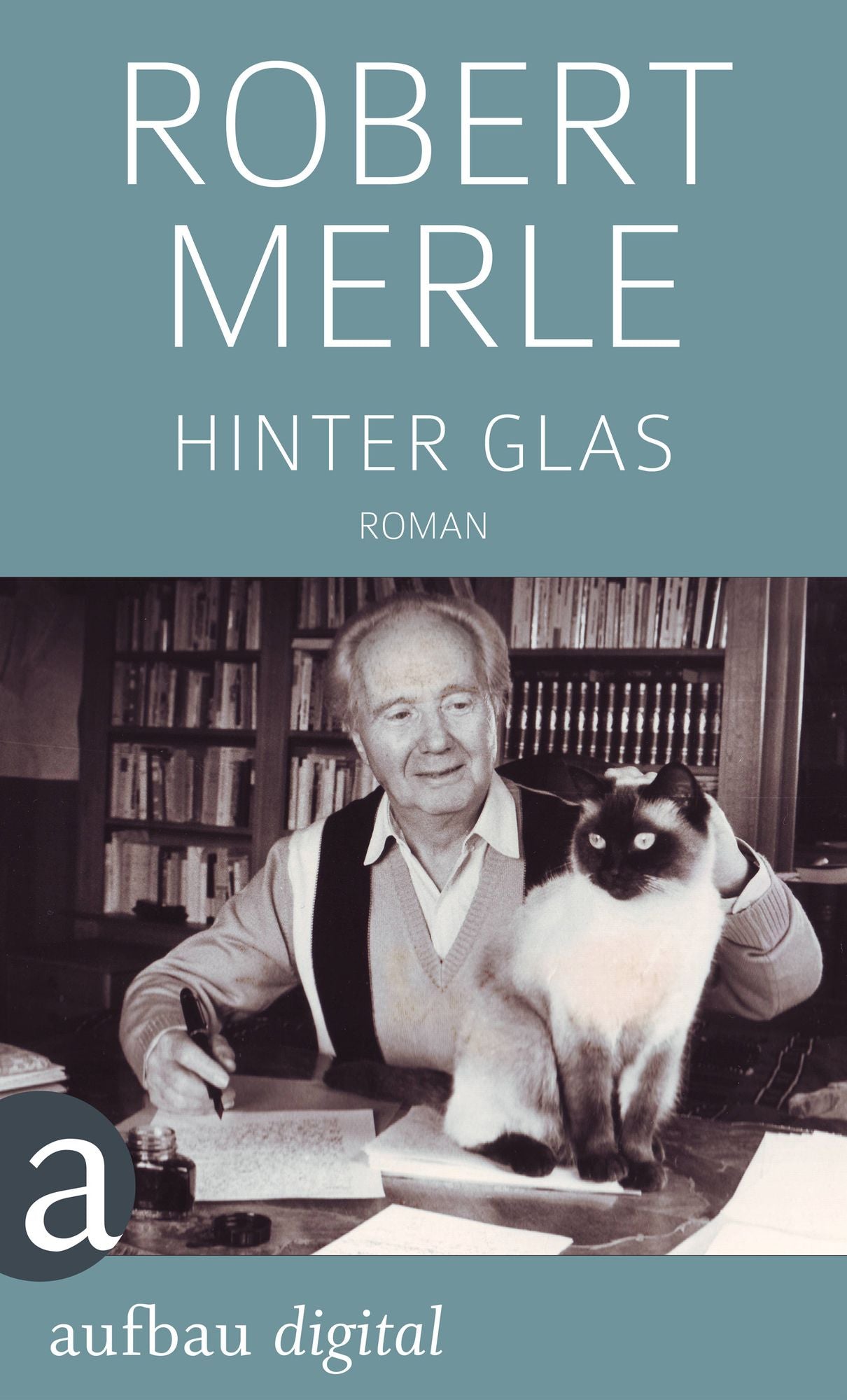 Hinter Glas: Roman