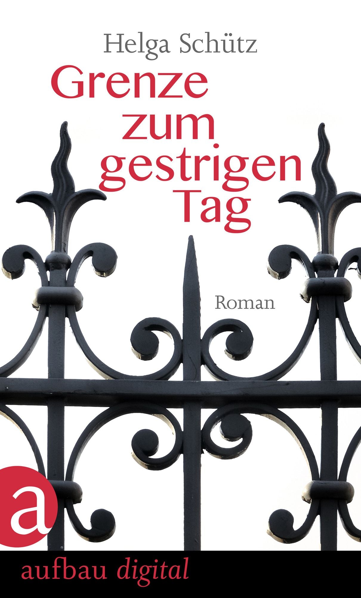 Grenze zum gestrigen Tag: Roman