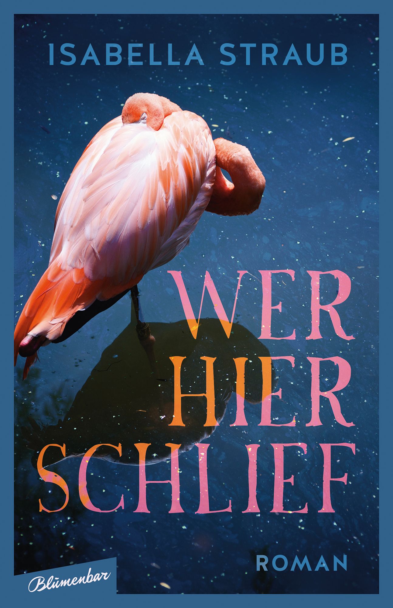 Wer hier schlief: Roman