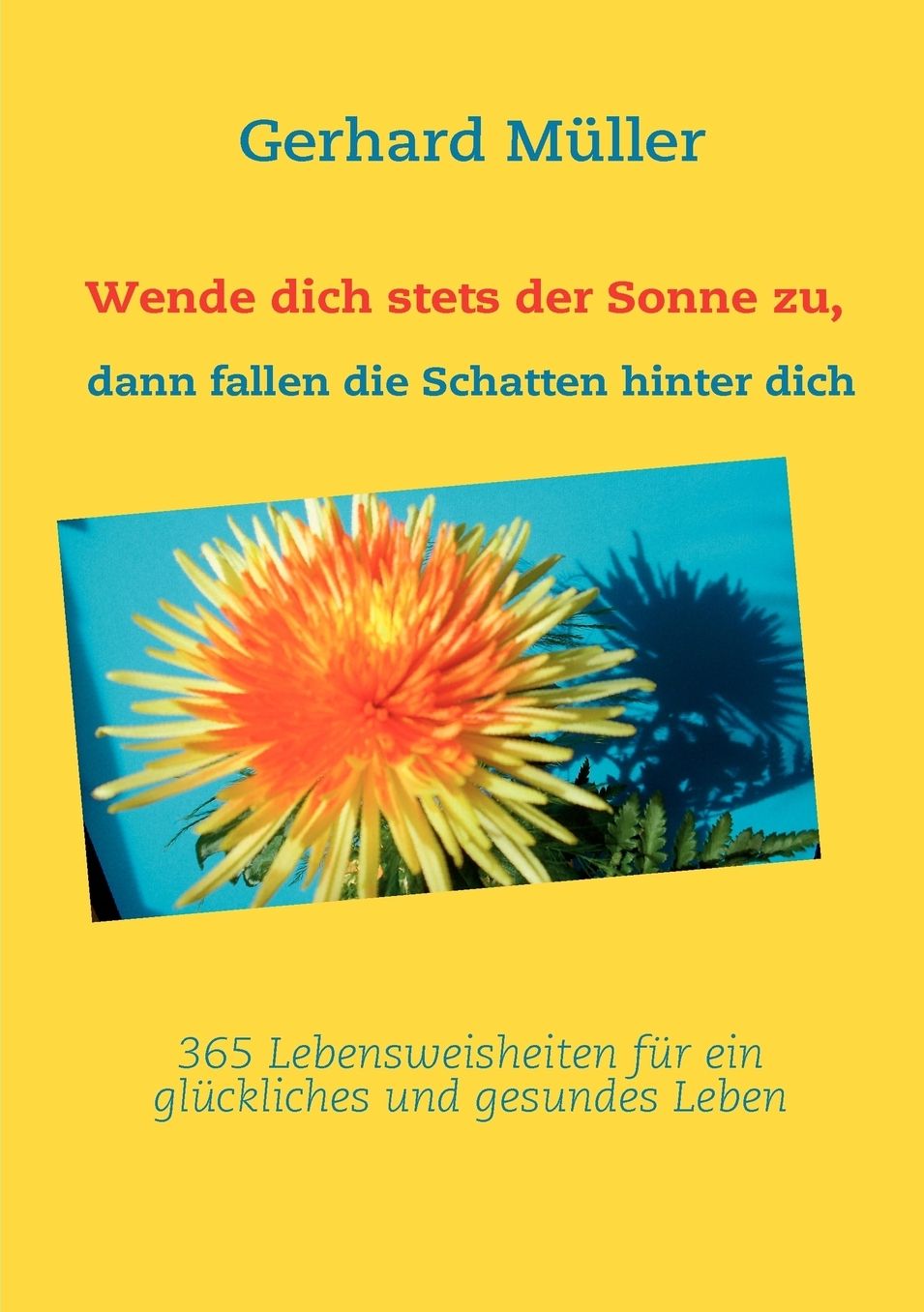 Wende dich stets der Sonne zu, dann fallen die Schatten hinter dich